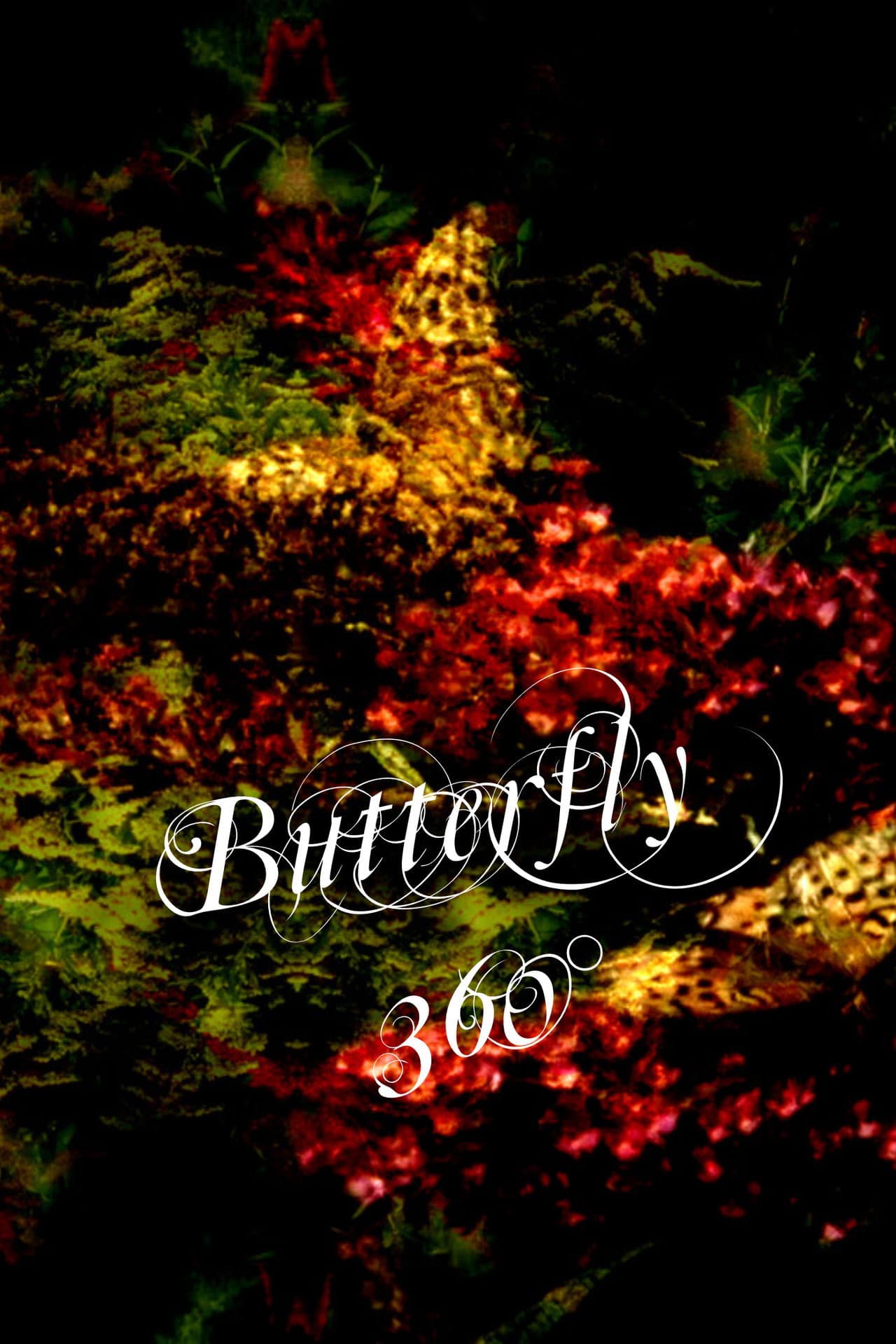 Butterfly 360° preview 2