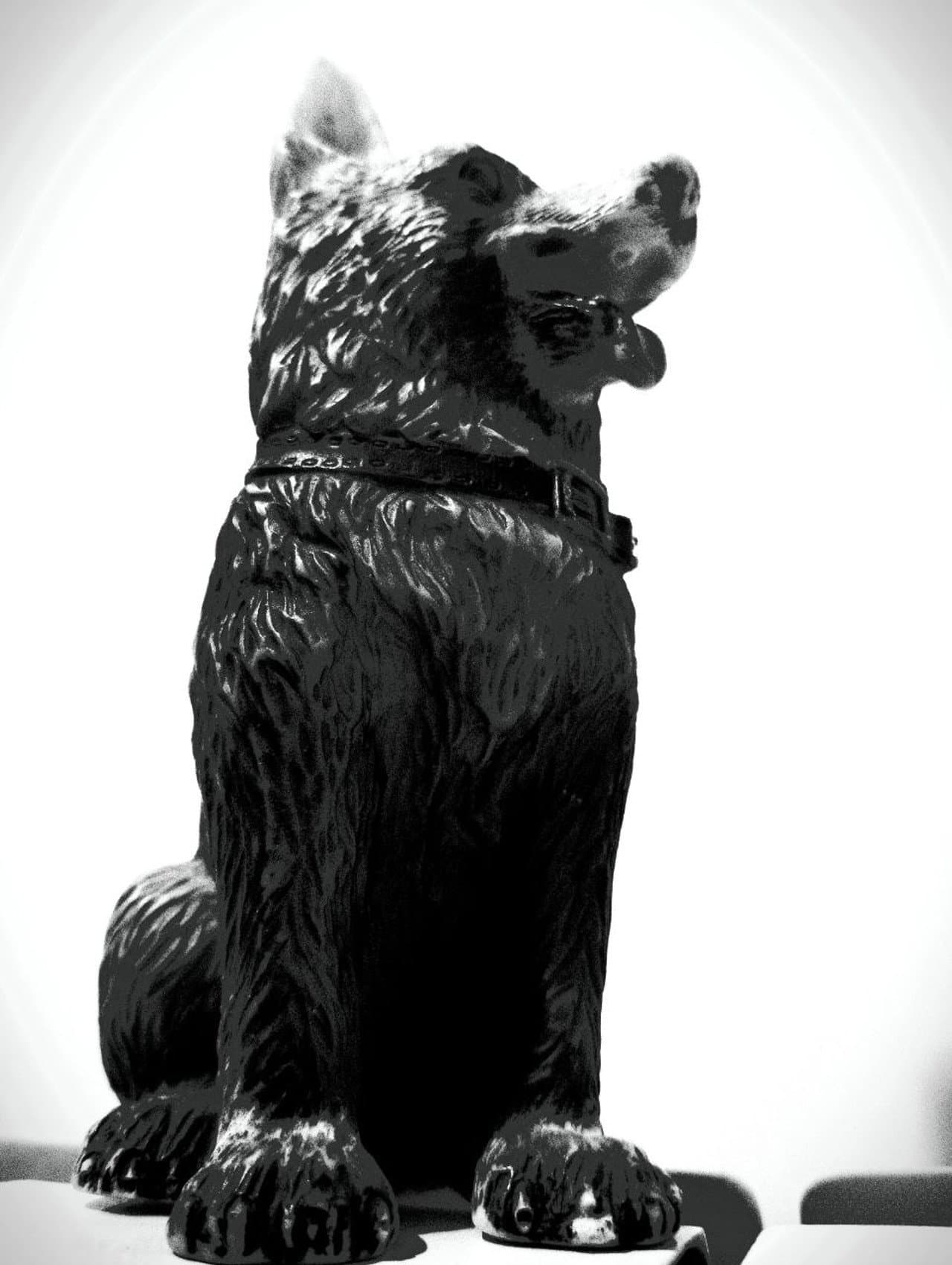 The Dog of Sarandi Alley preview 2