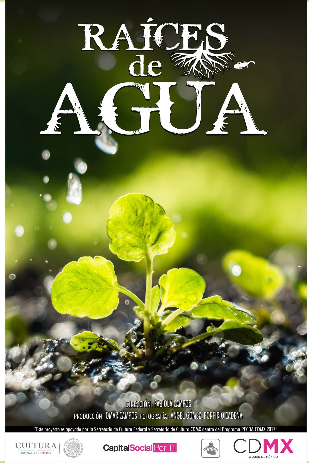 Raíces de Agua preview 1