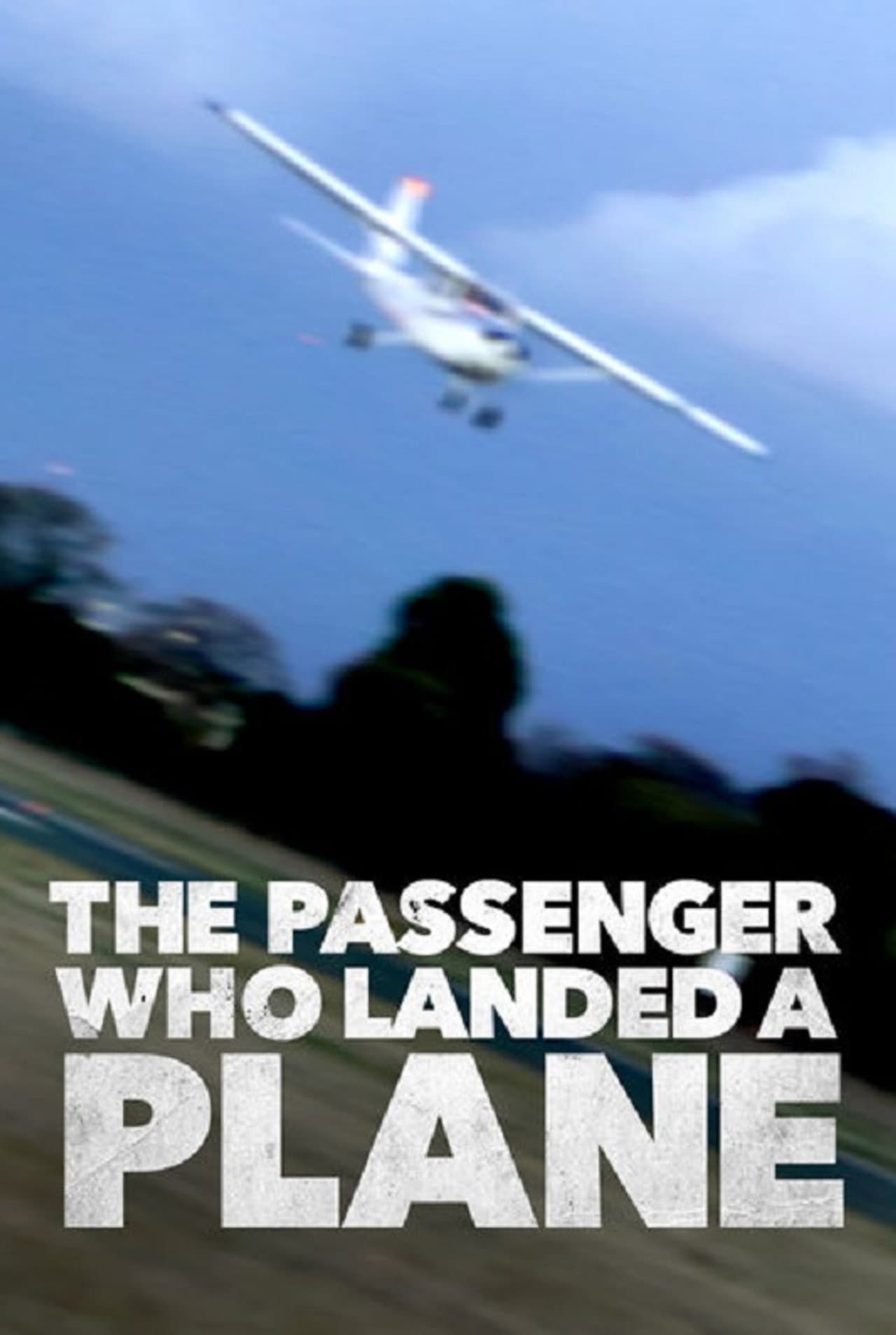 Mayday: The Passenger Who Landed a Plane preview 2
