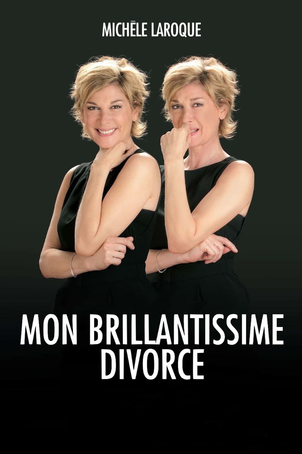 Michèle Laroque : Mon brillantissime divorce preview 1