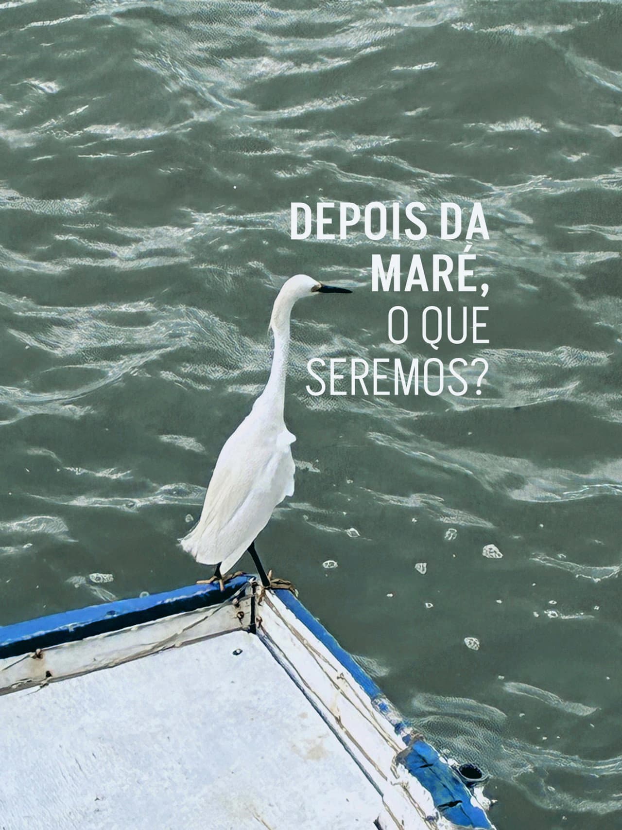Depois da maré, o que seremos? preview 1