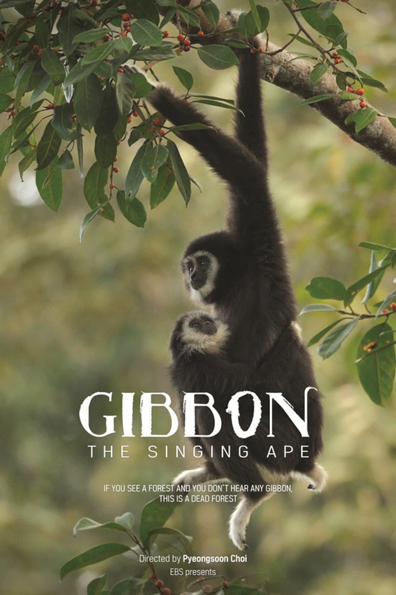 The Singing Ape, Gibbon preview 1