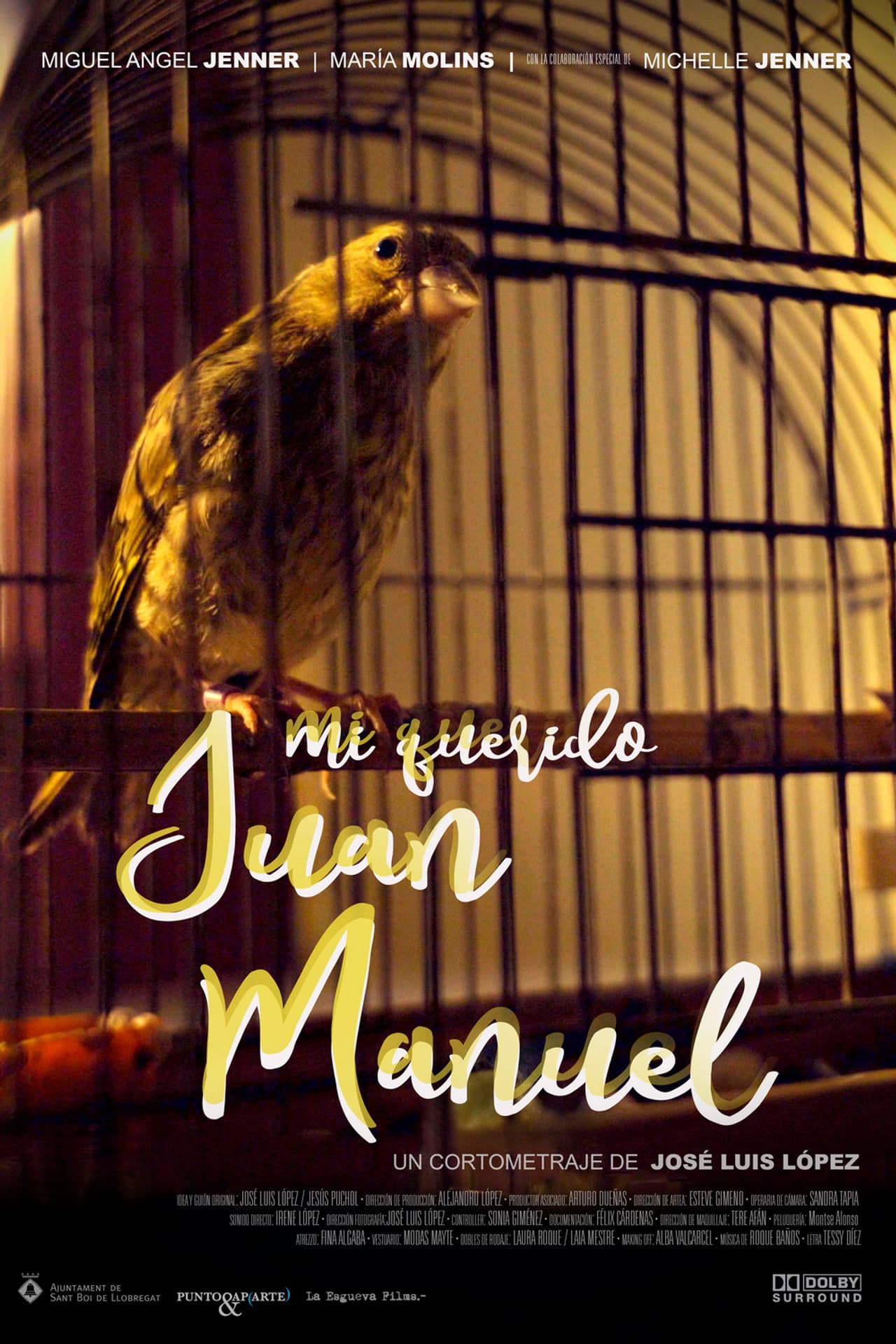 Mi querido Juan Manuel preview 2