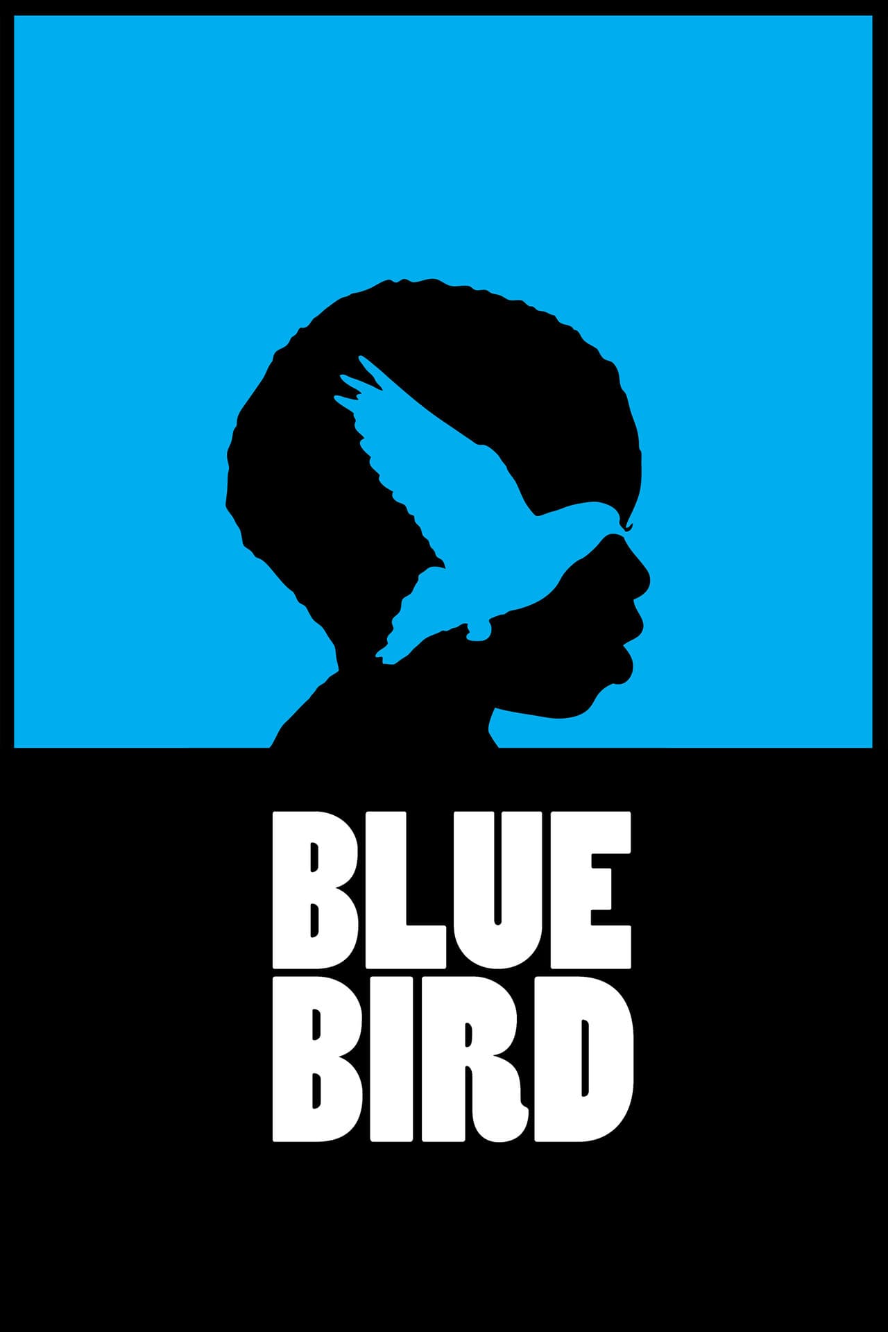 Blue Bird preview 2