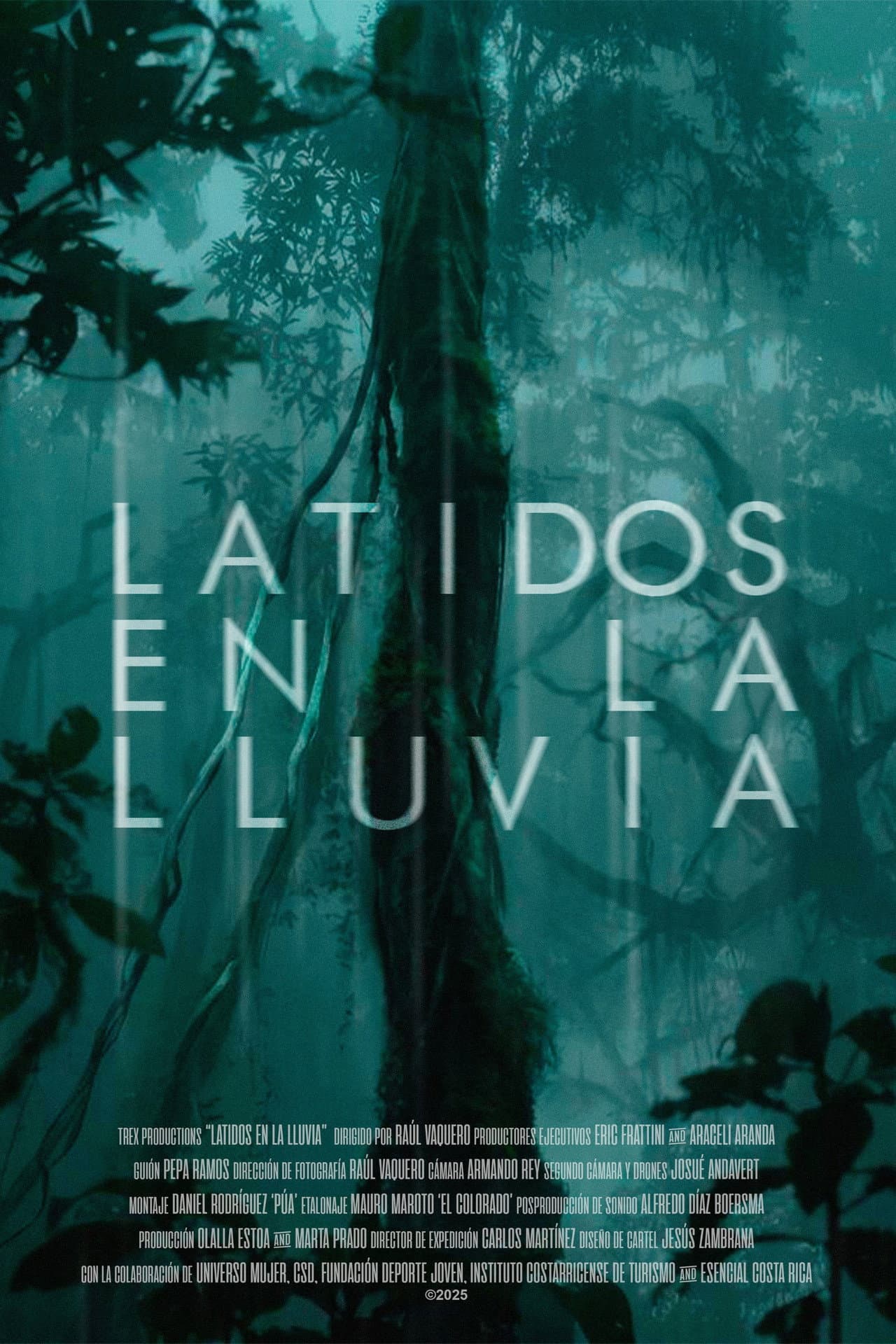 Latidos en la lluvia preview 2