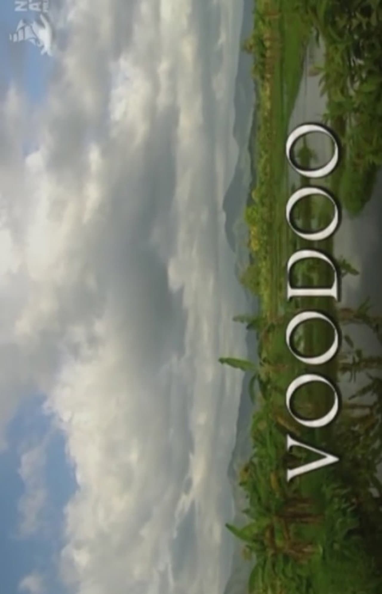 Voodoo preview 1