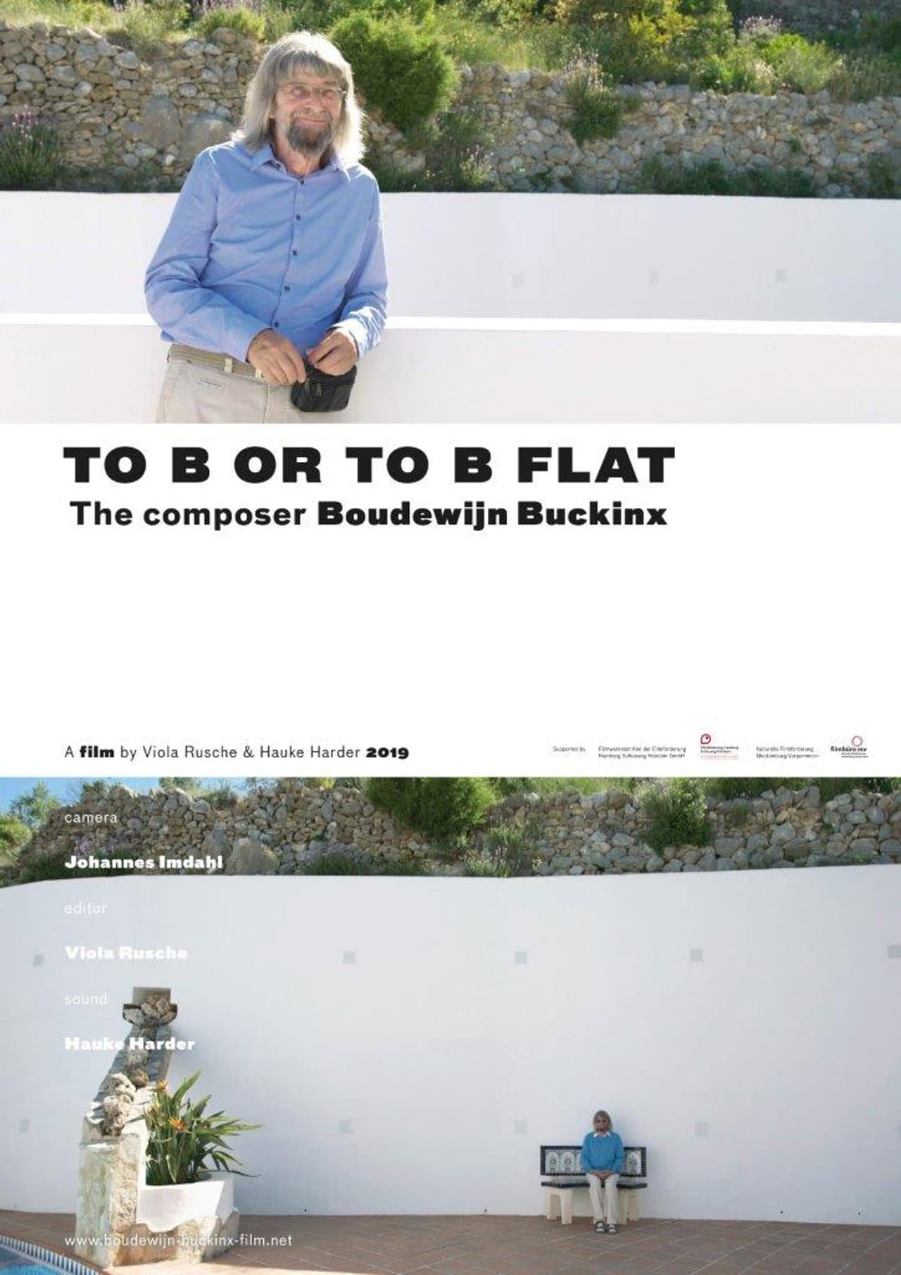 To B or to B Flat - the composer Boudewijn Buckinx preview 1
