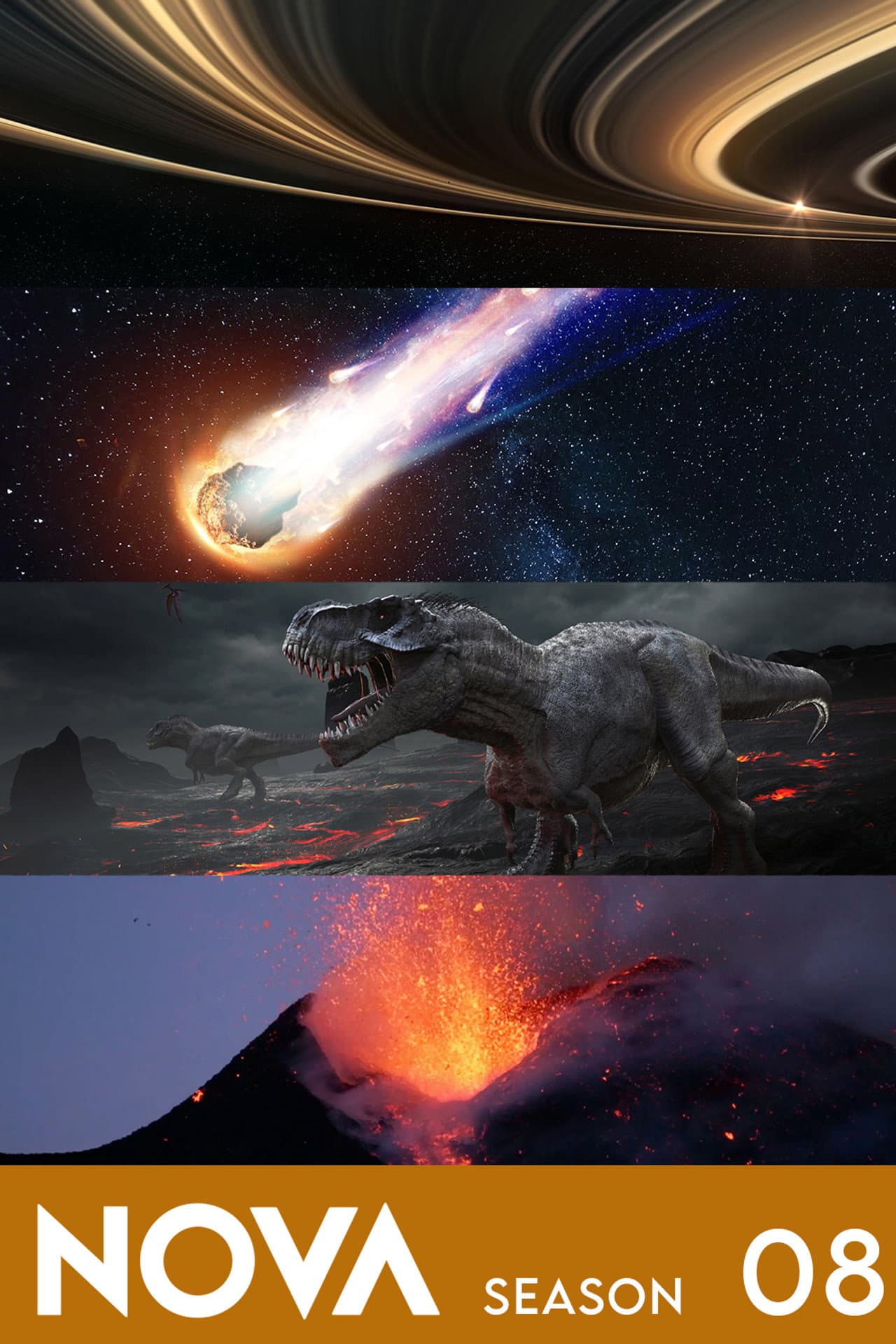 Season 8