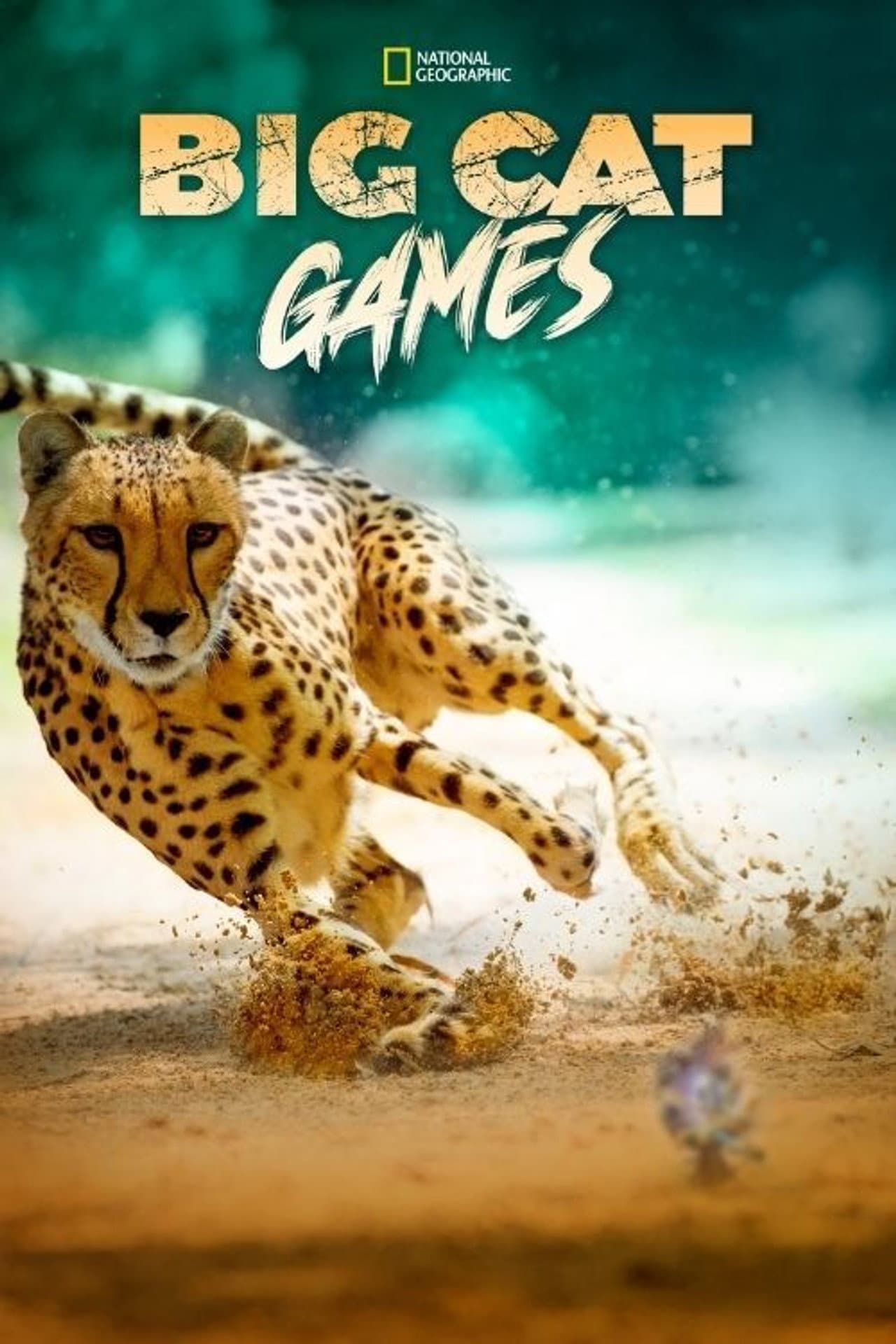 Big Cat Games preview 2