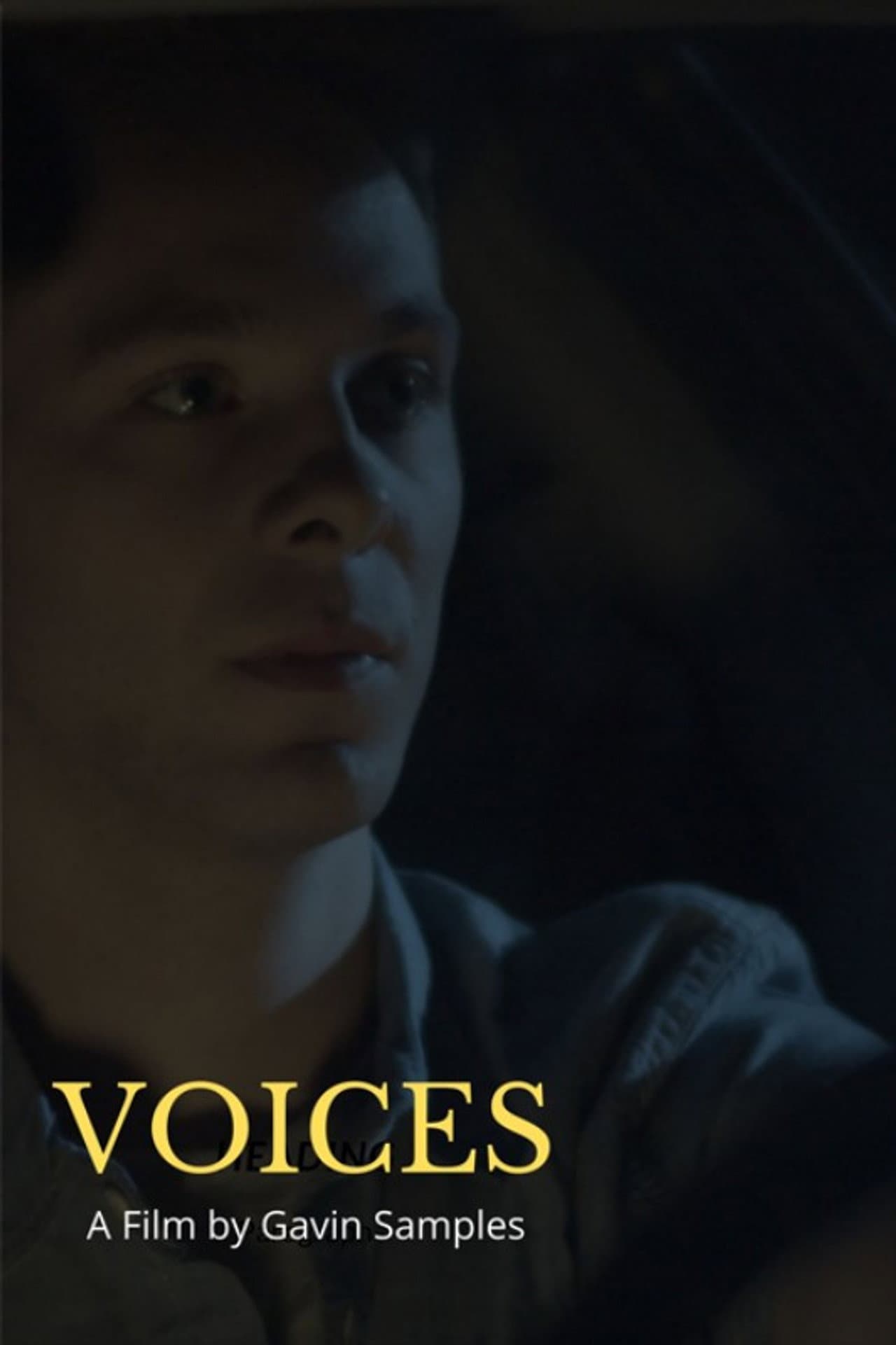 Voices preview 2