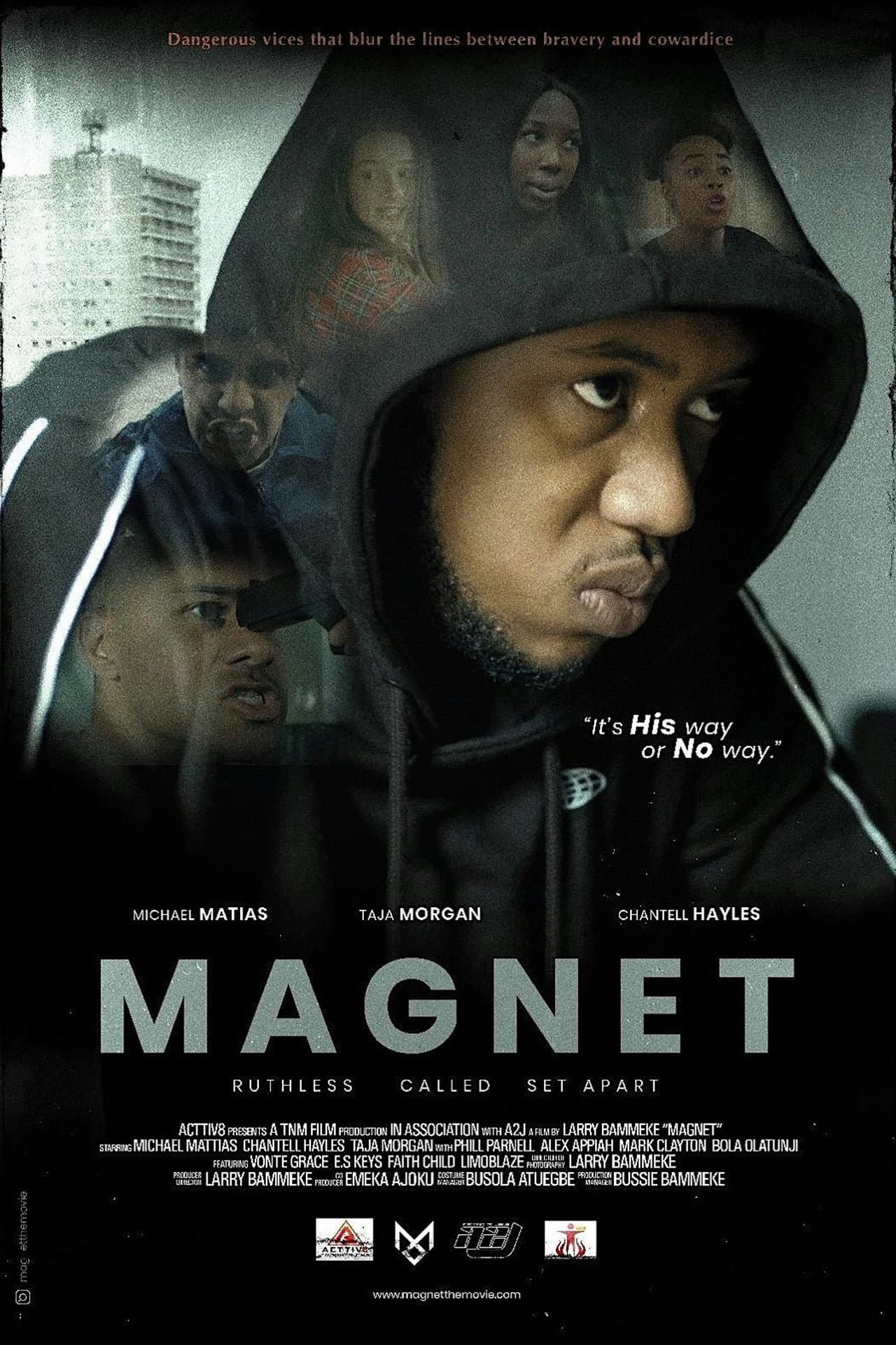Magnet preview 2