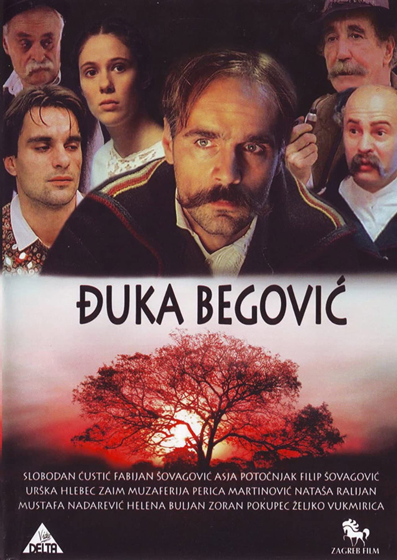 Djuka Begovic preview 1