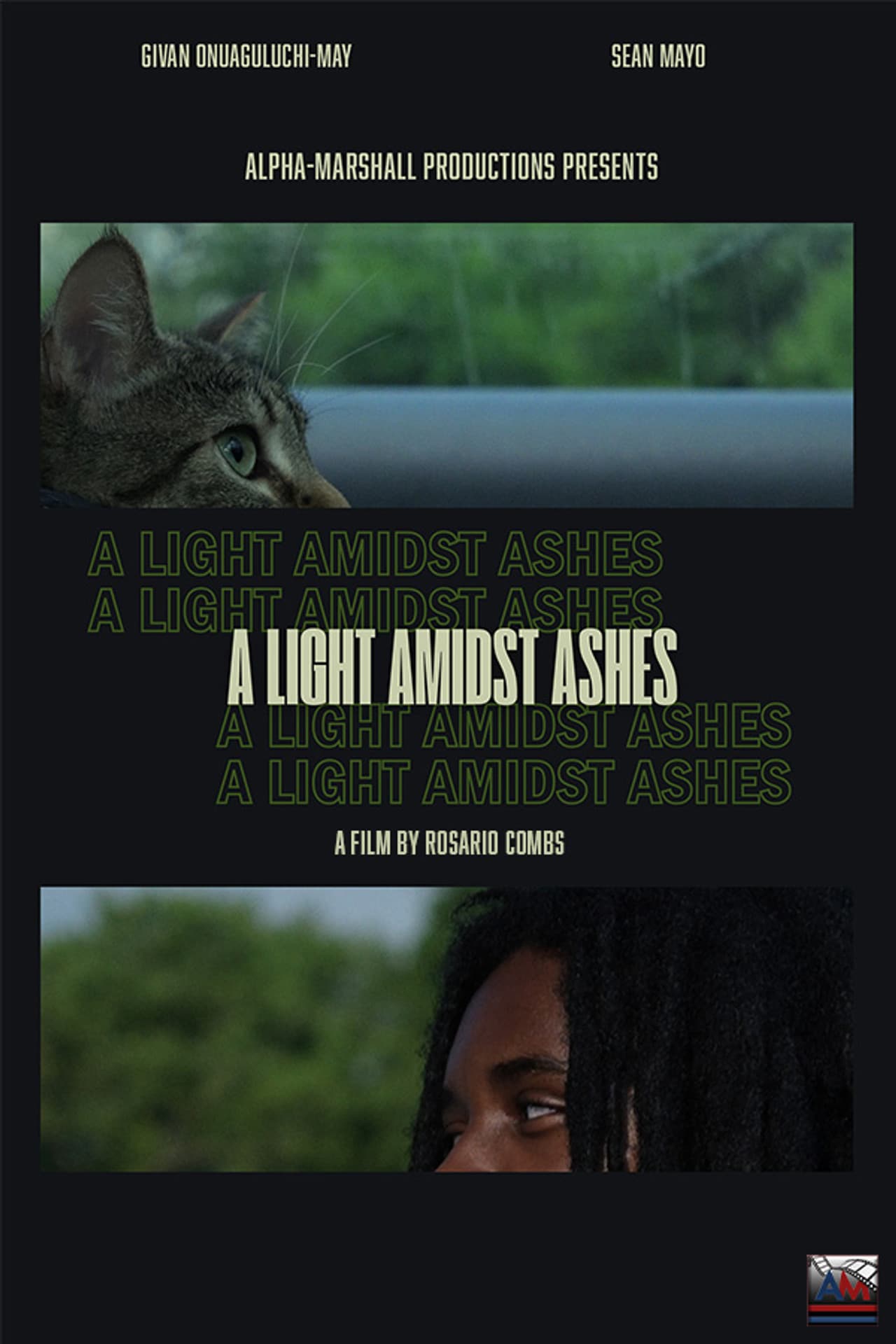 A Light Amidst Ashes preview 1