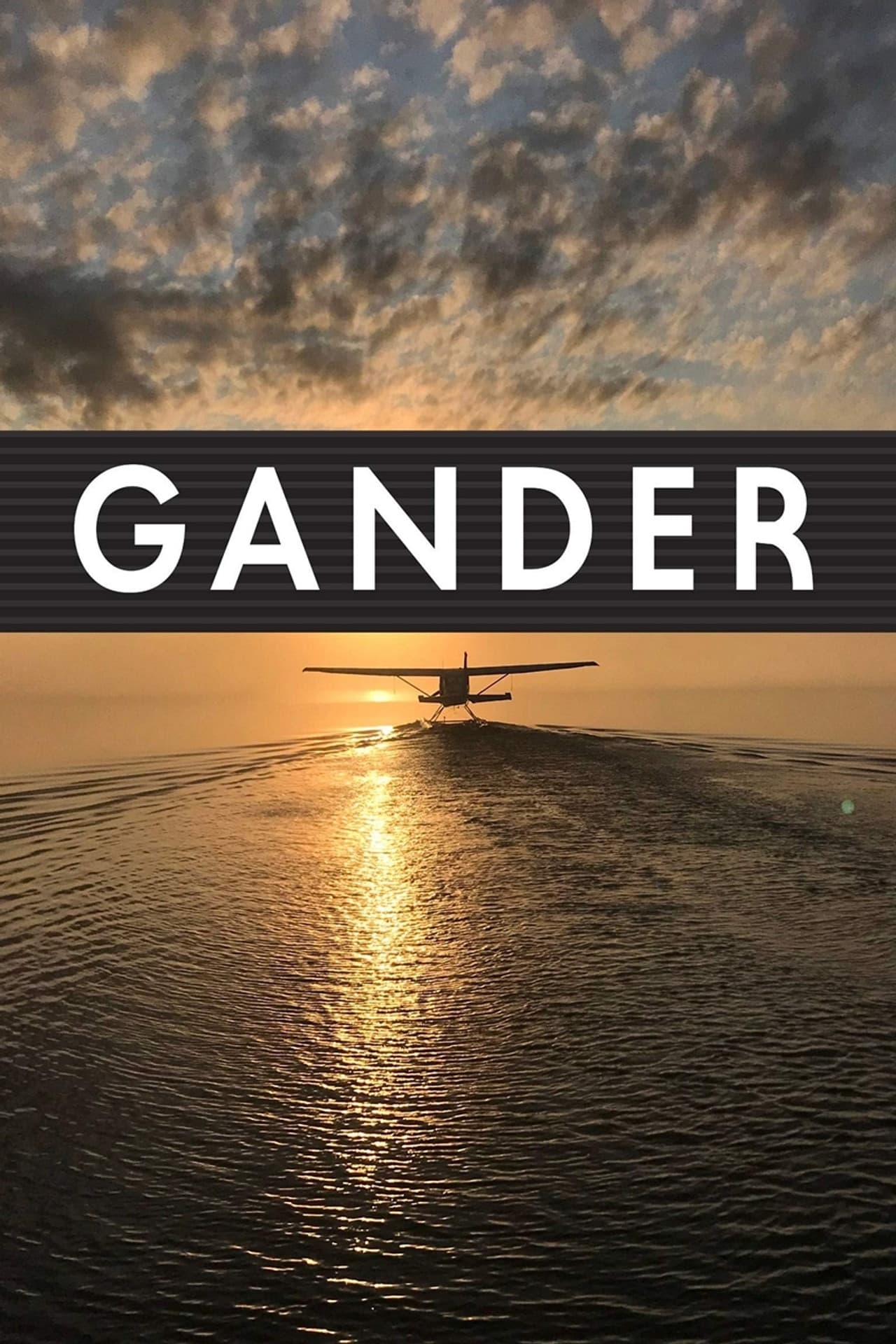 Gander International: The Airport in the Middle of Nowhere preview 2