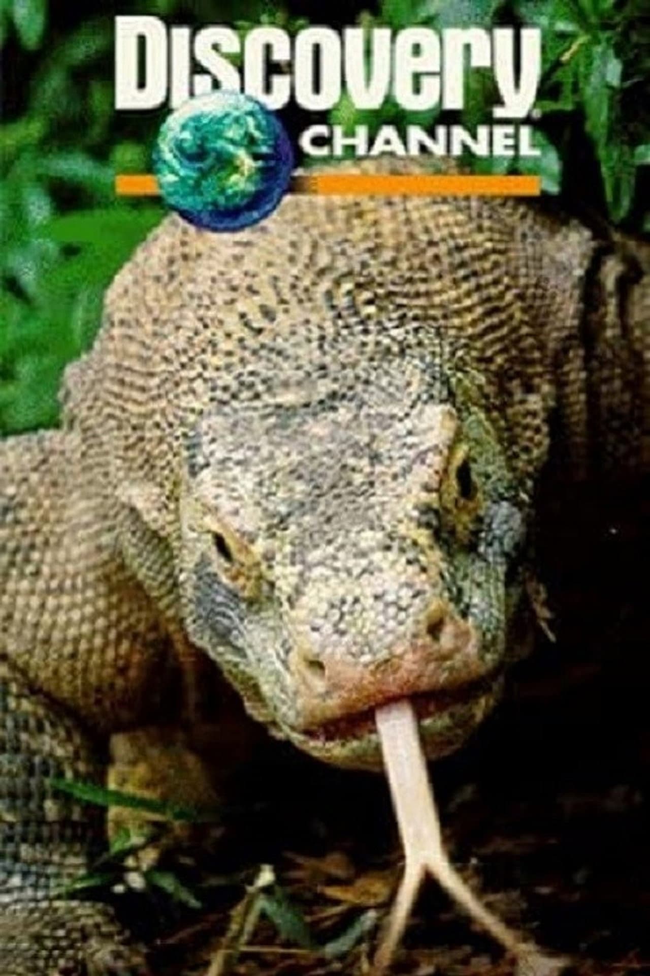 Dragons of Komodo preview 2