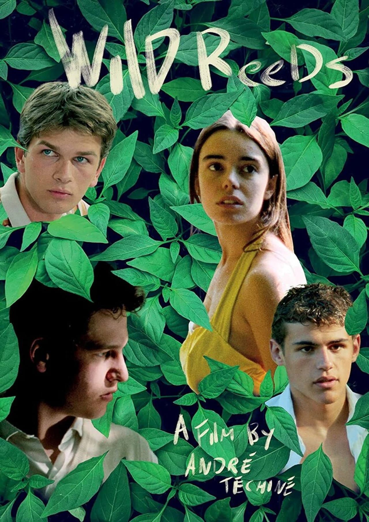 Wild Reeds preview 2