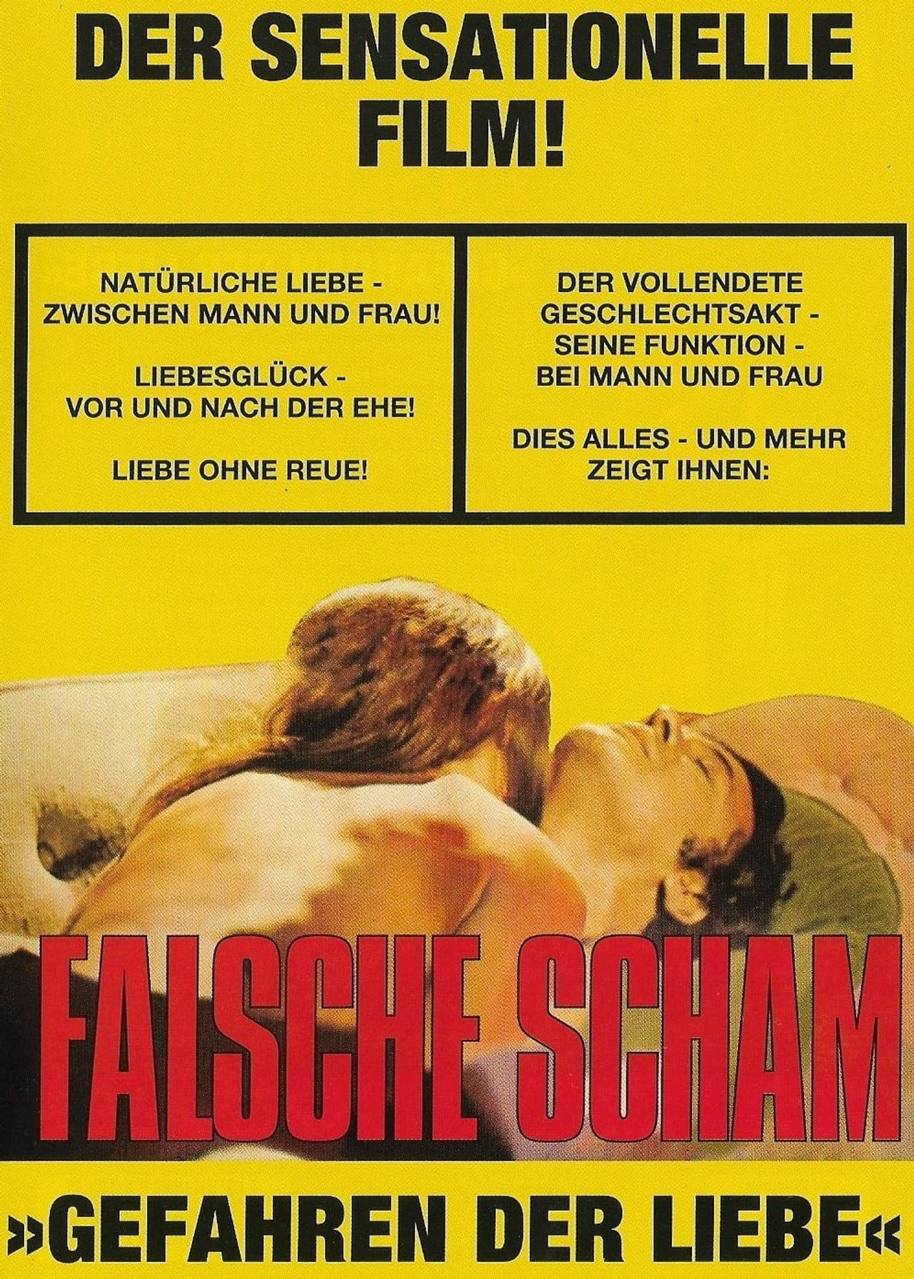 Falsche Scham - Gefahren der Liebe preview 2