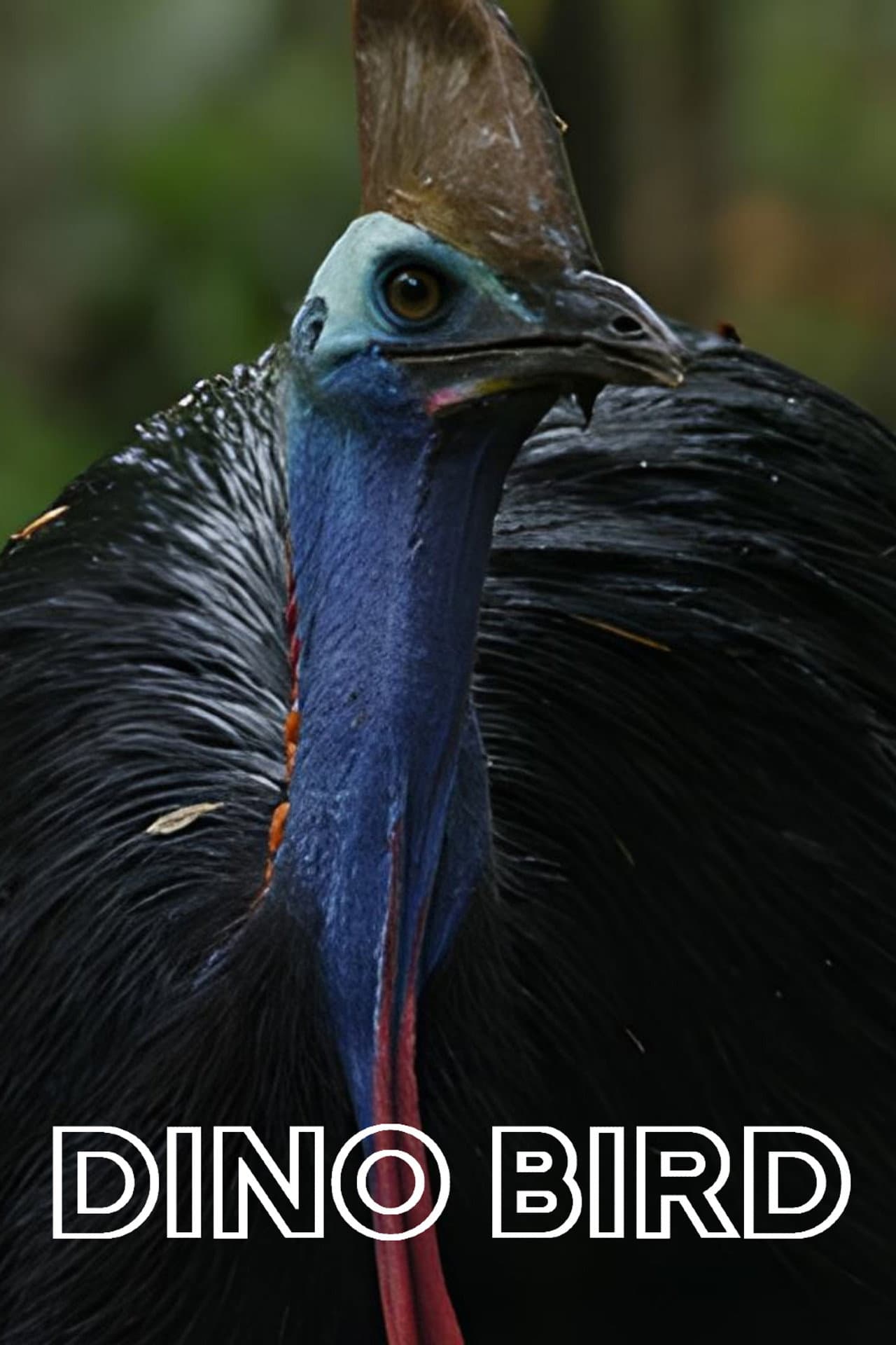 Dino Bird preview 2