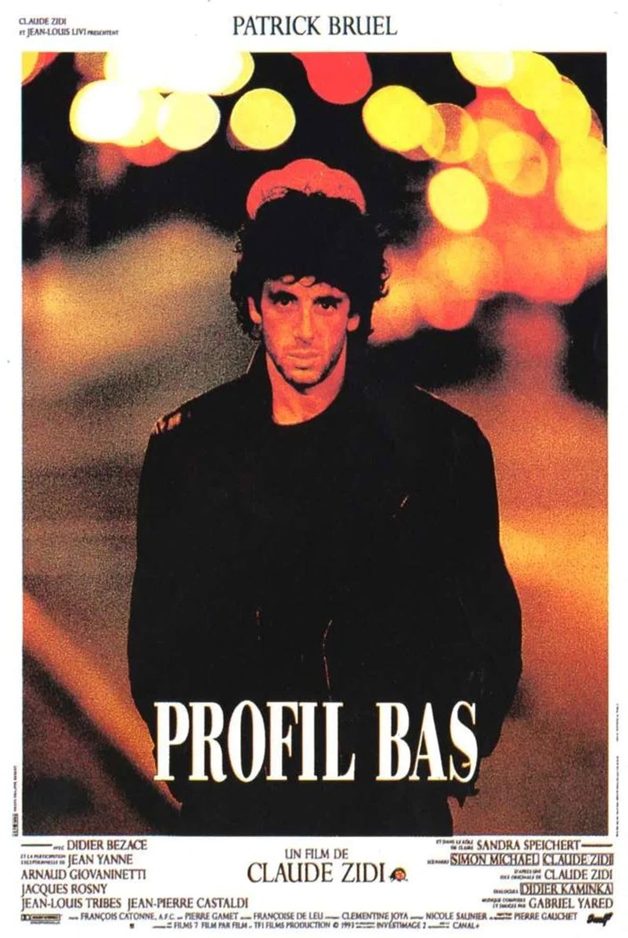 Low Profile preview 2