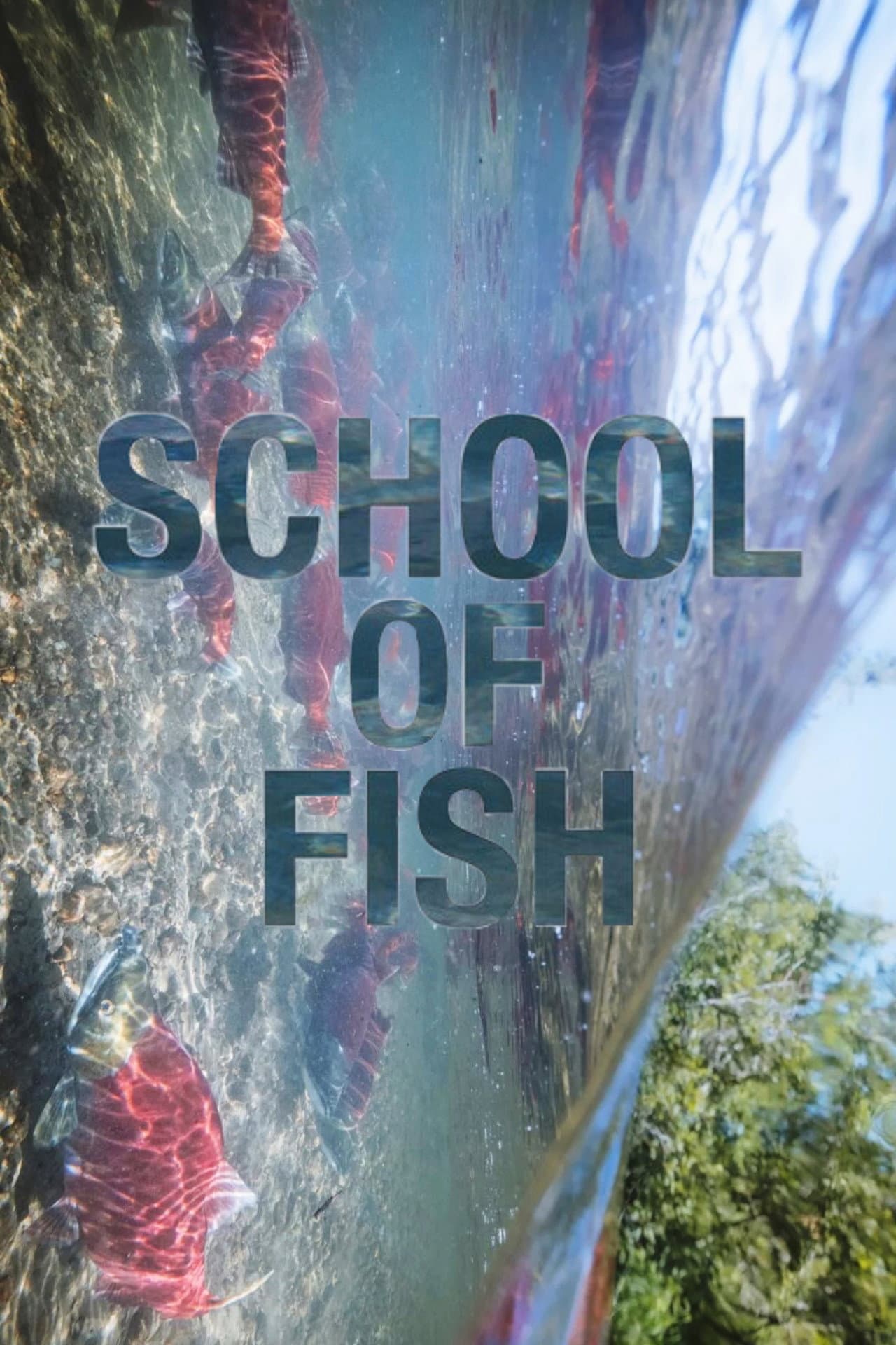 School of Fish preview 1