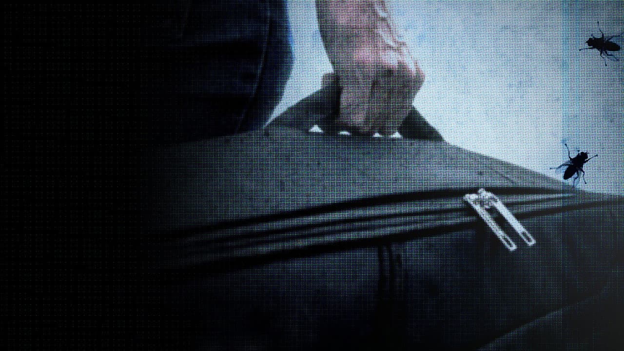 The Suitcase Murders