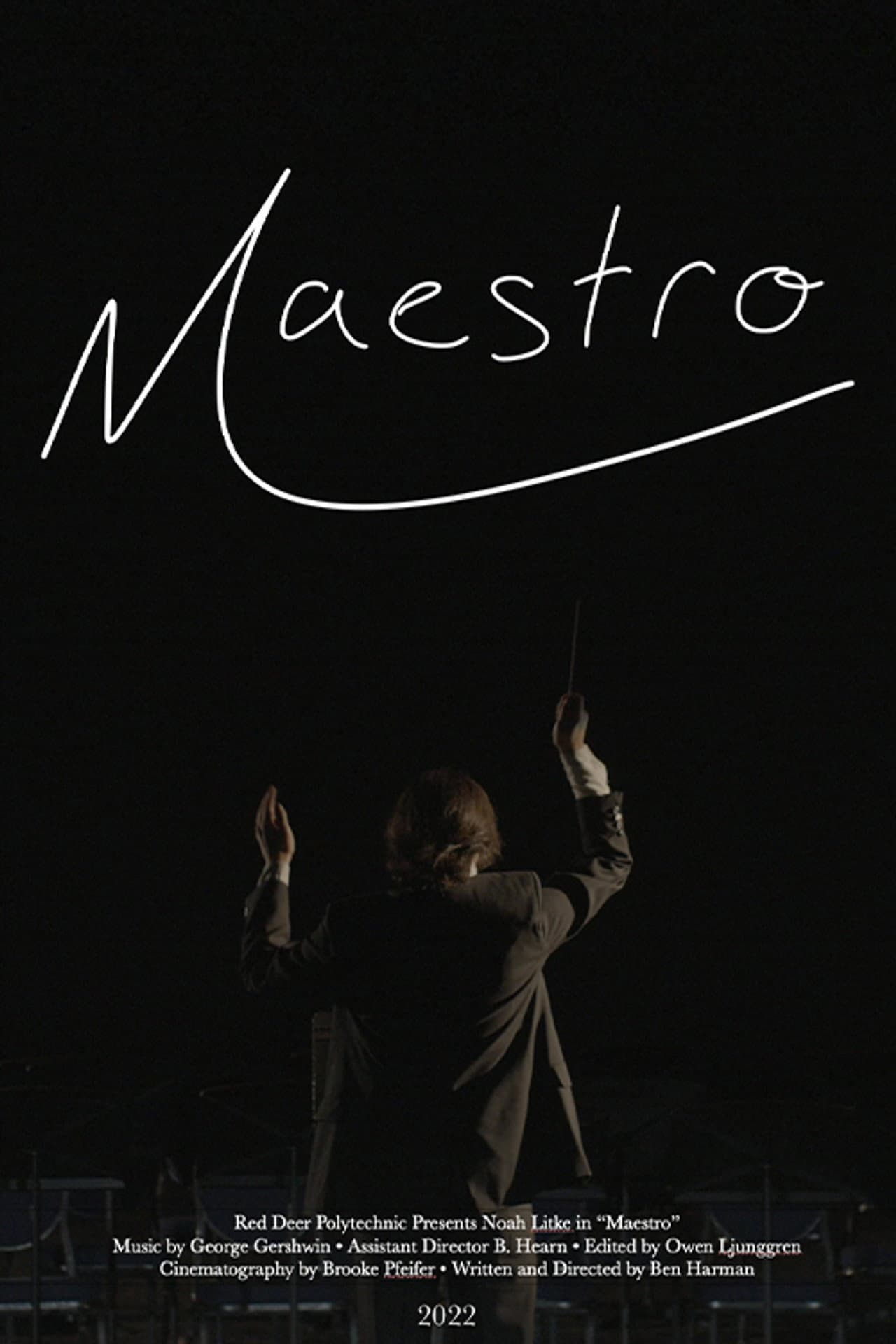 Maestro preview 2