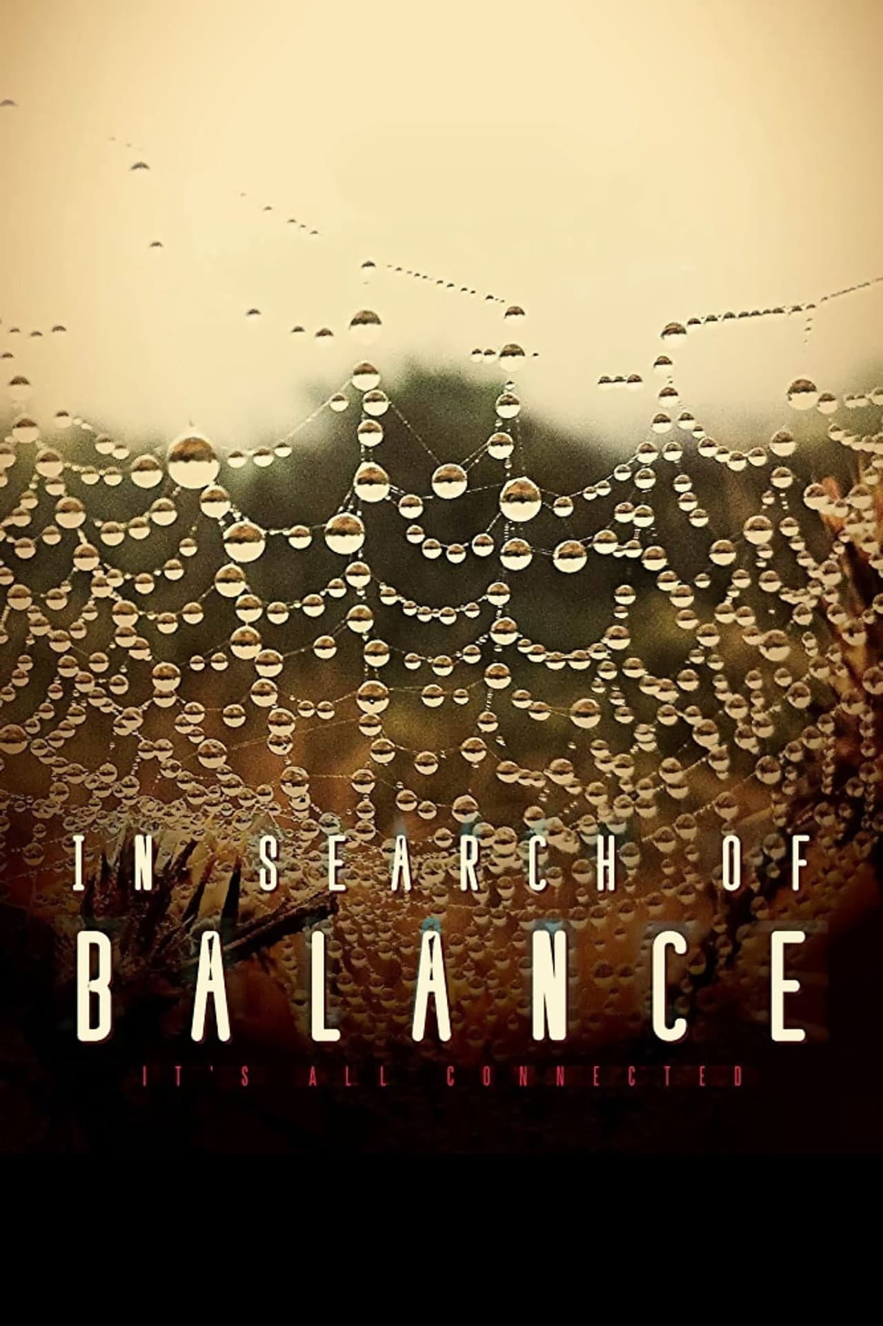 In Search of Balance preview 2