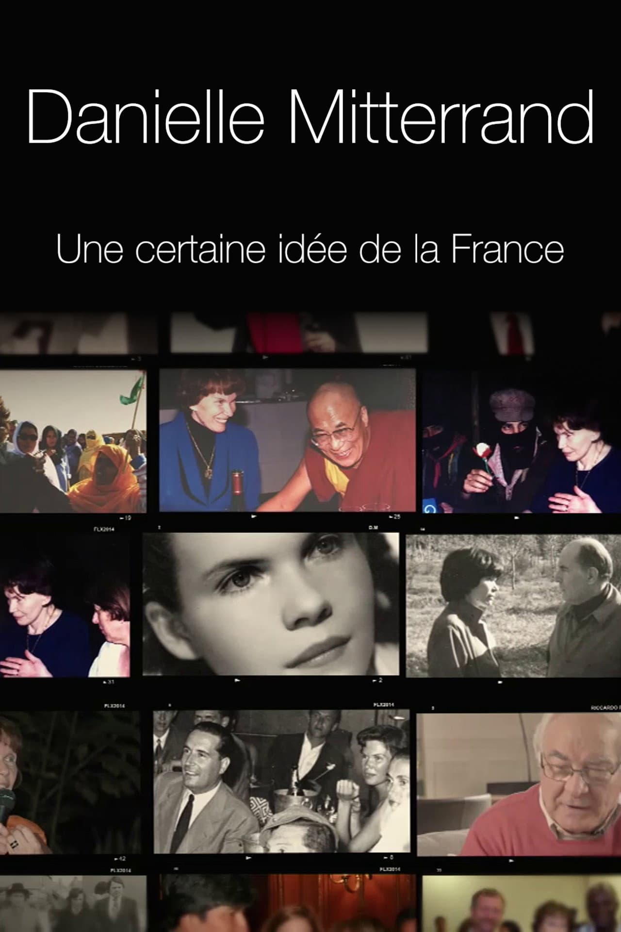 Danielle Mitterrand, une certaine idée de la France preview 2