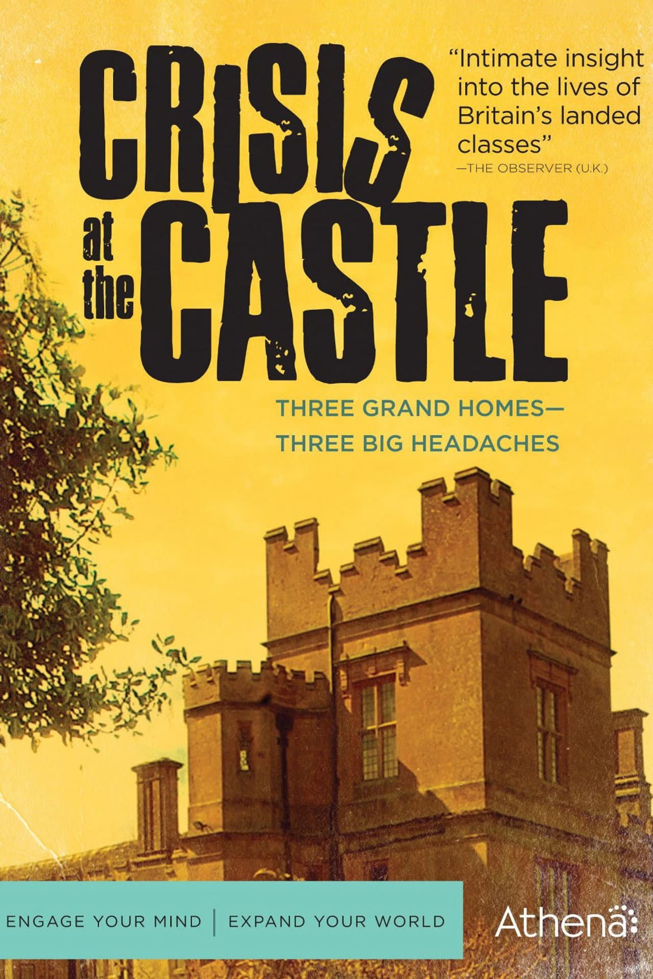 Crisis at the Castle preview 2