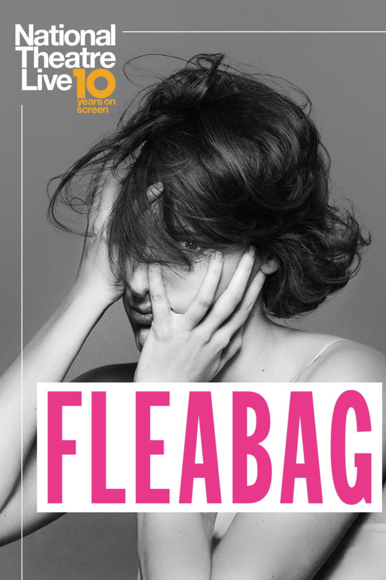 National Theatre Live: Fleabag preview 2