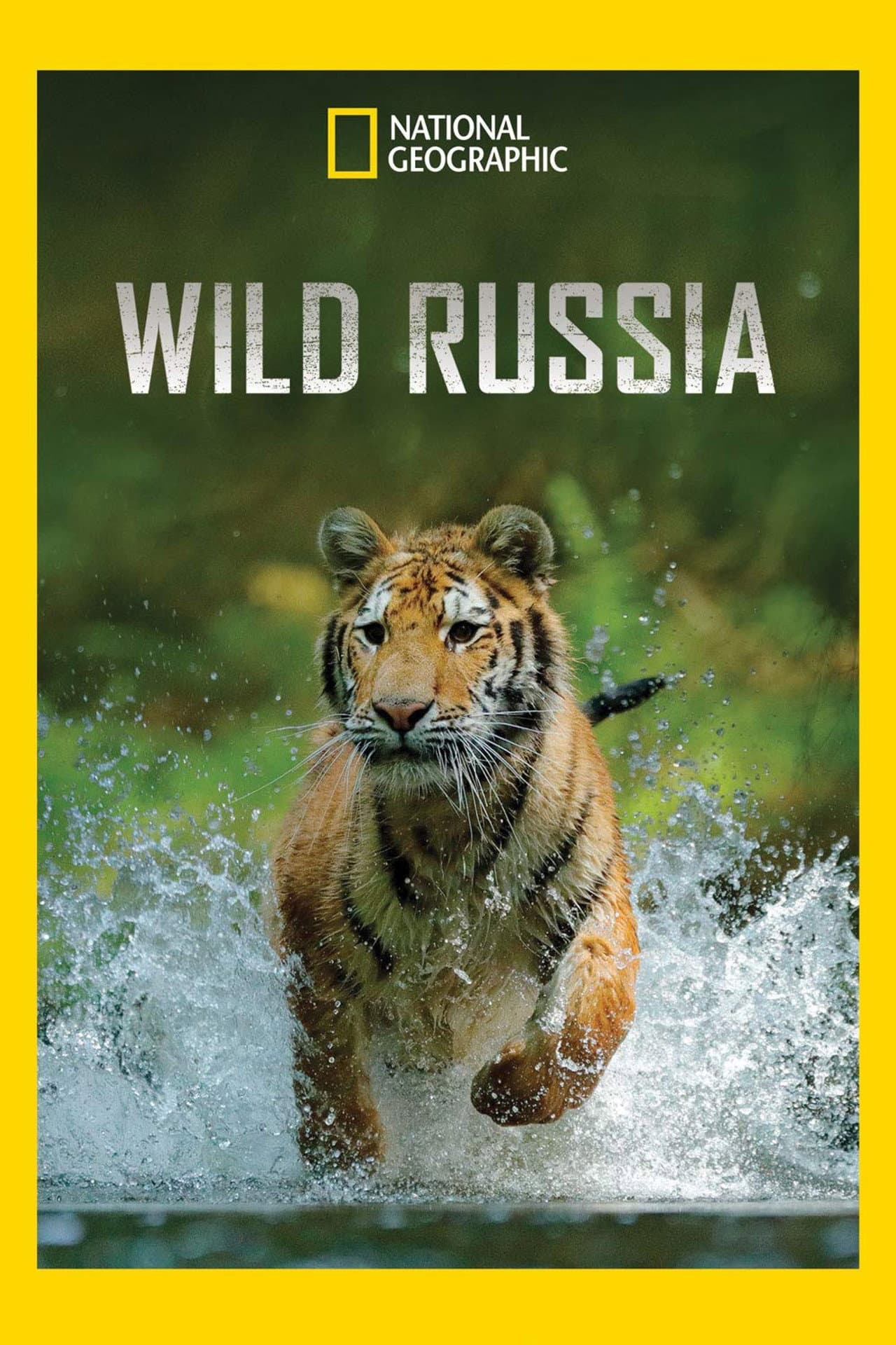 Wild Russia preview 2