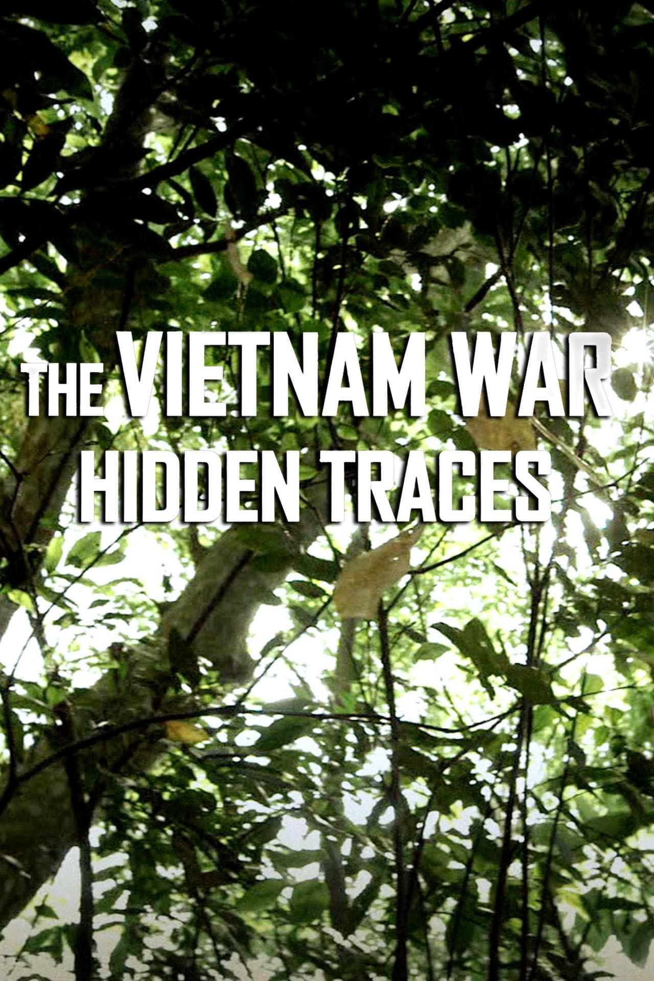 The Vietnam War: Hidden Traces preview 2