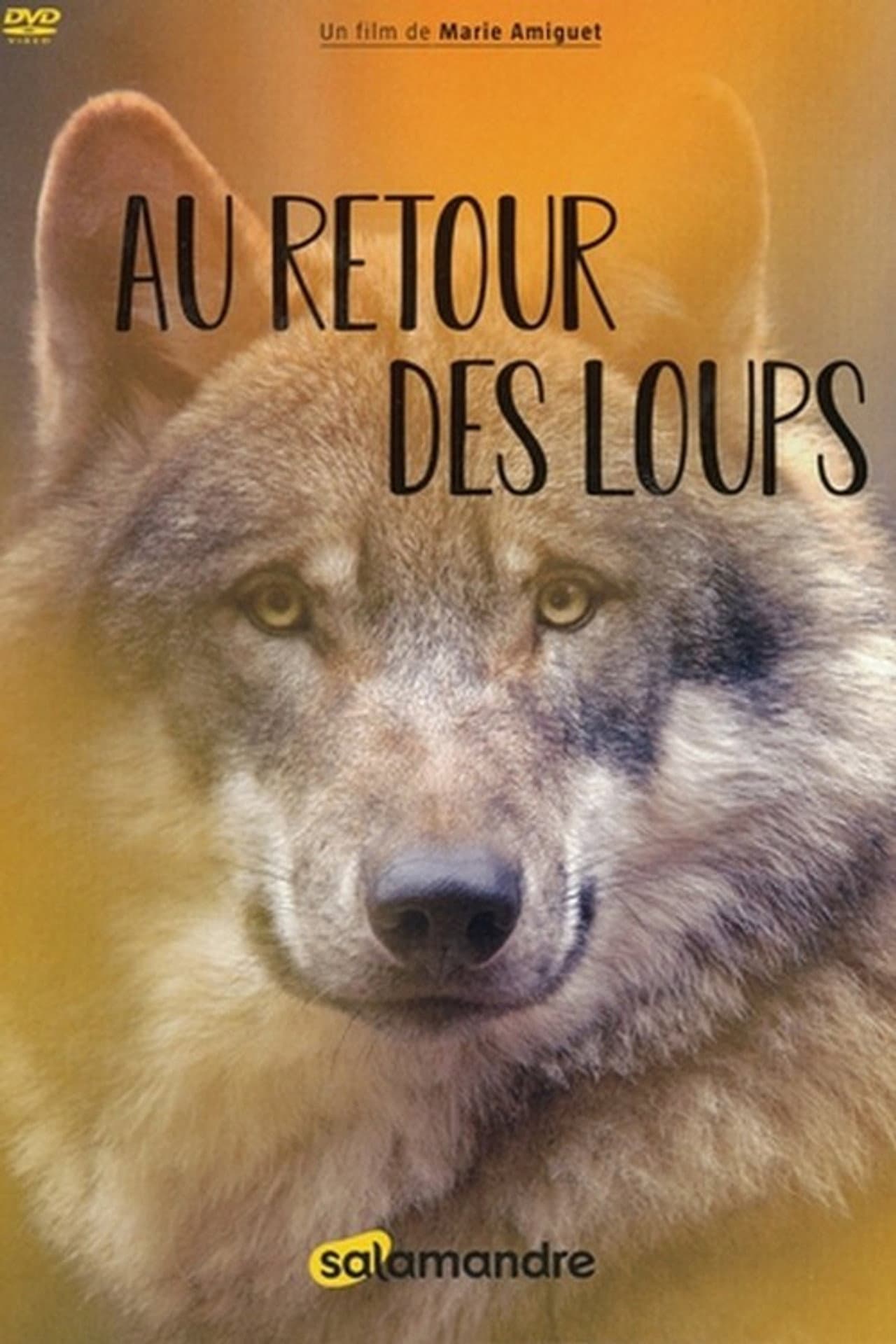 Au retour des loups preview 1
