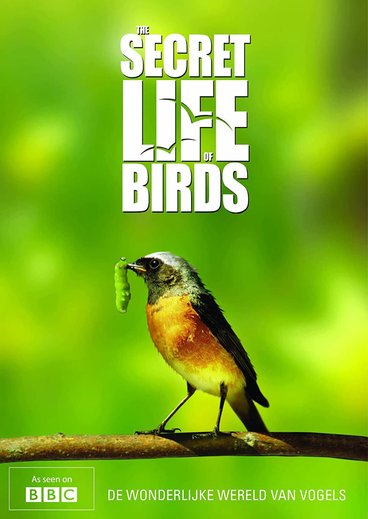 Iolo's Secret Life of Birds preview 2