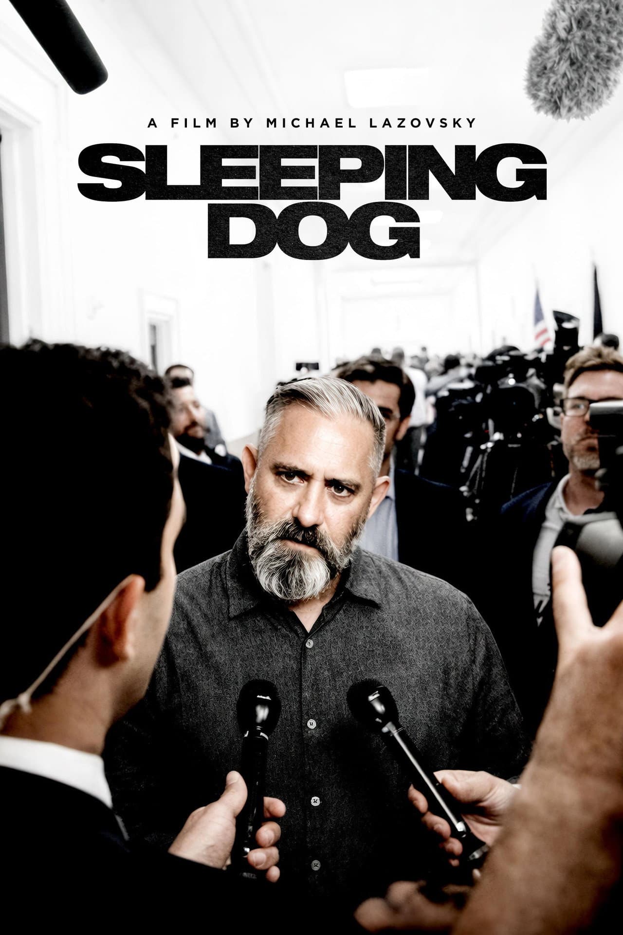 Sleeping Dog preview 2
