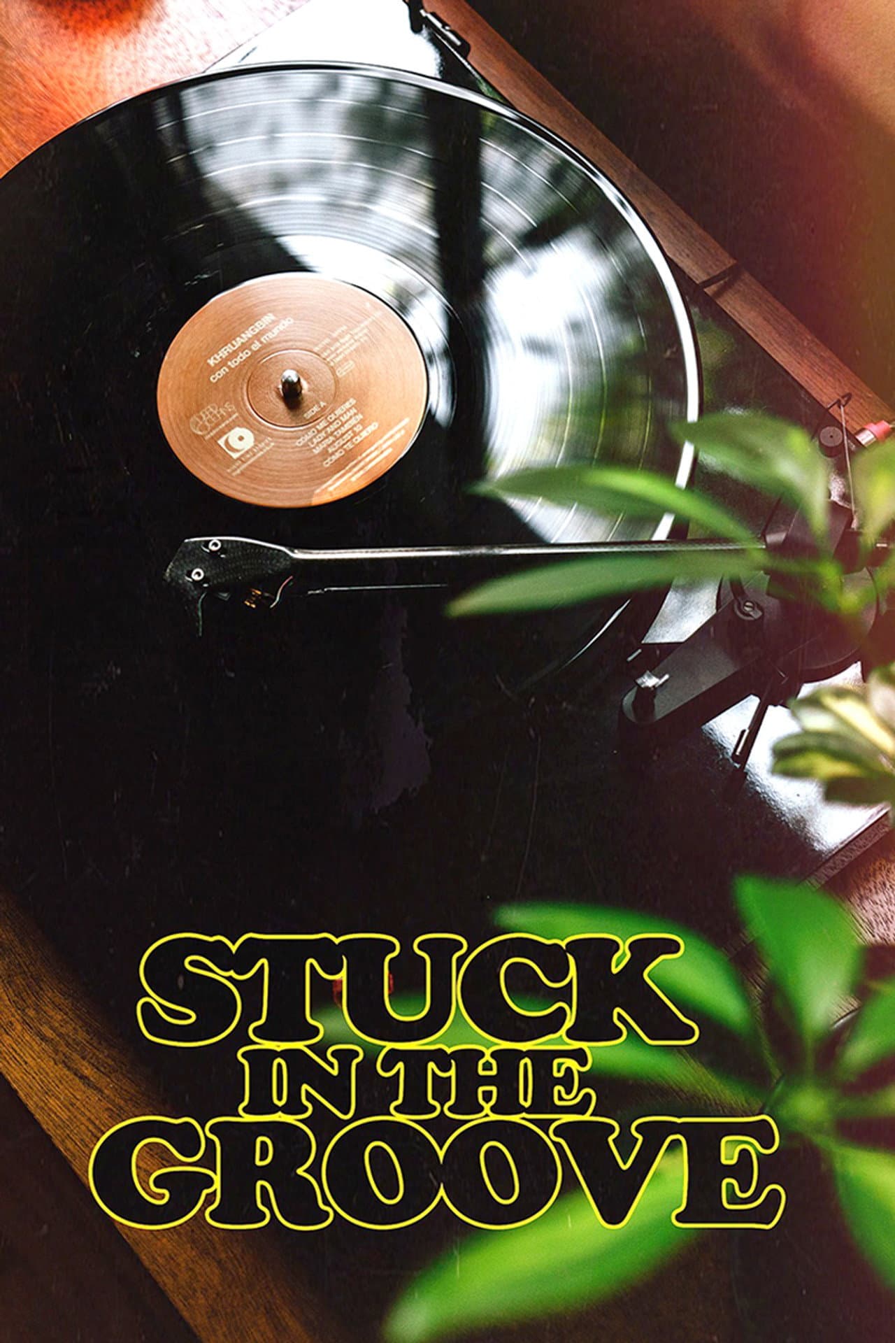Stuck in the Groove preview 2