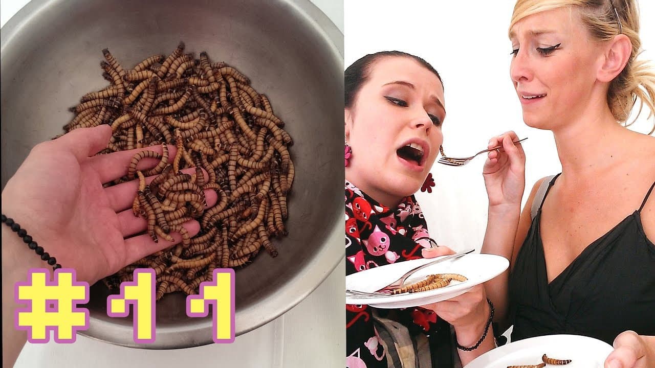 Episode 12