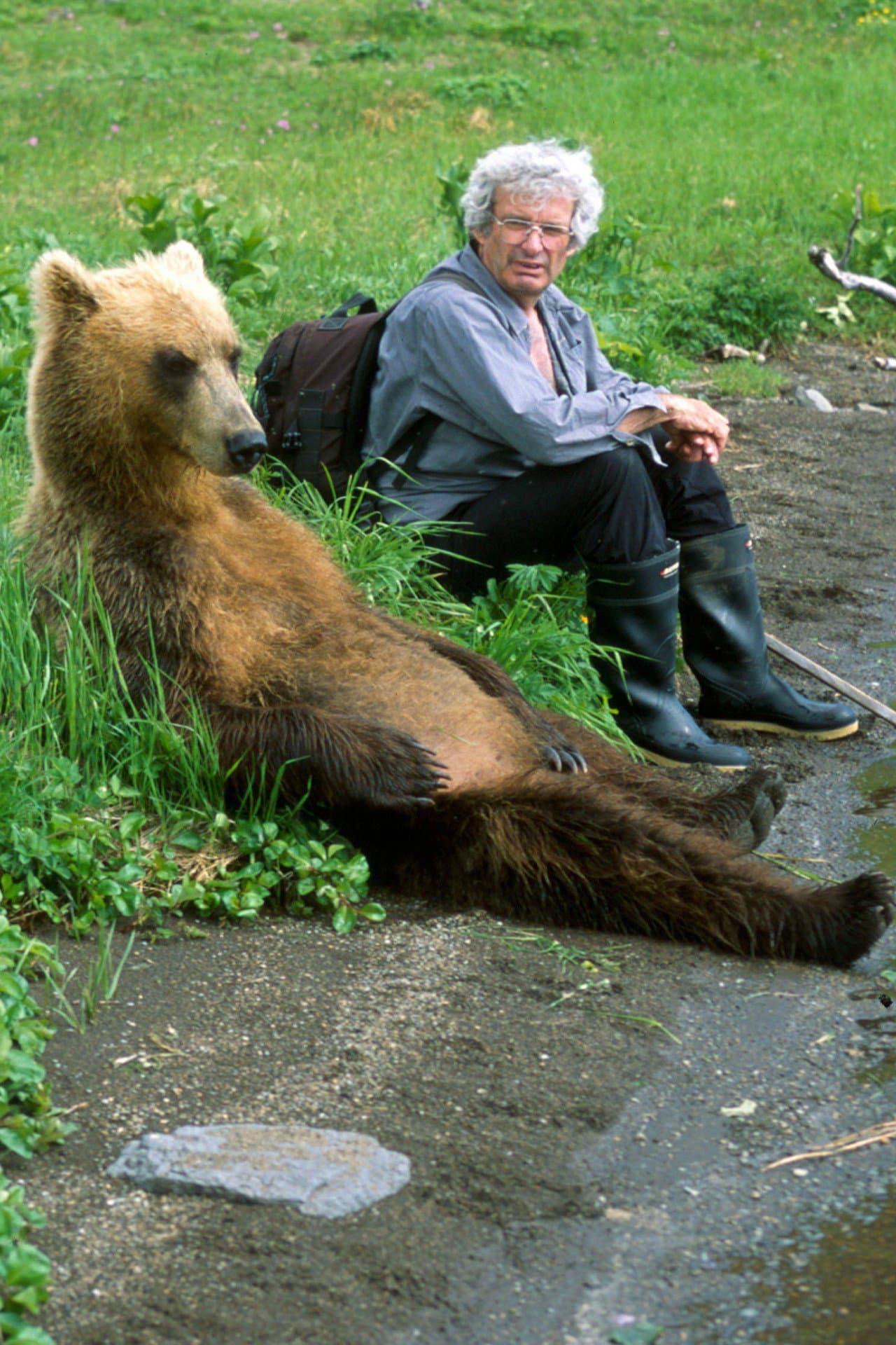 The Grizzlies of Siberia preview 1