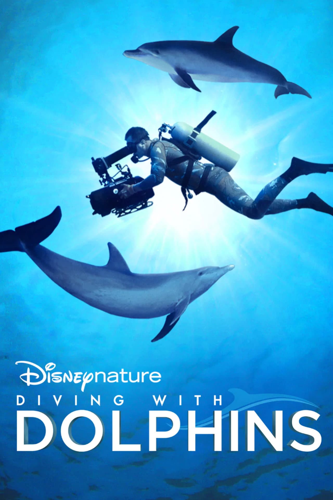 Diving with Dolphins preview 2