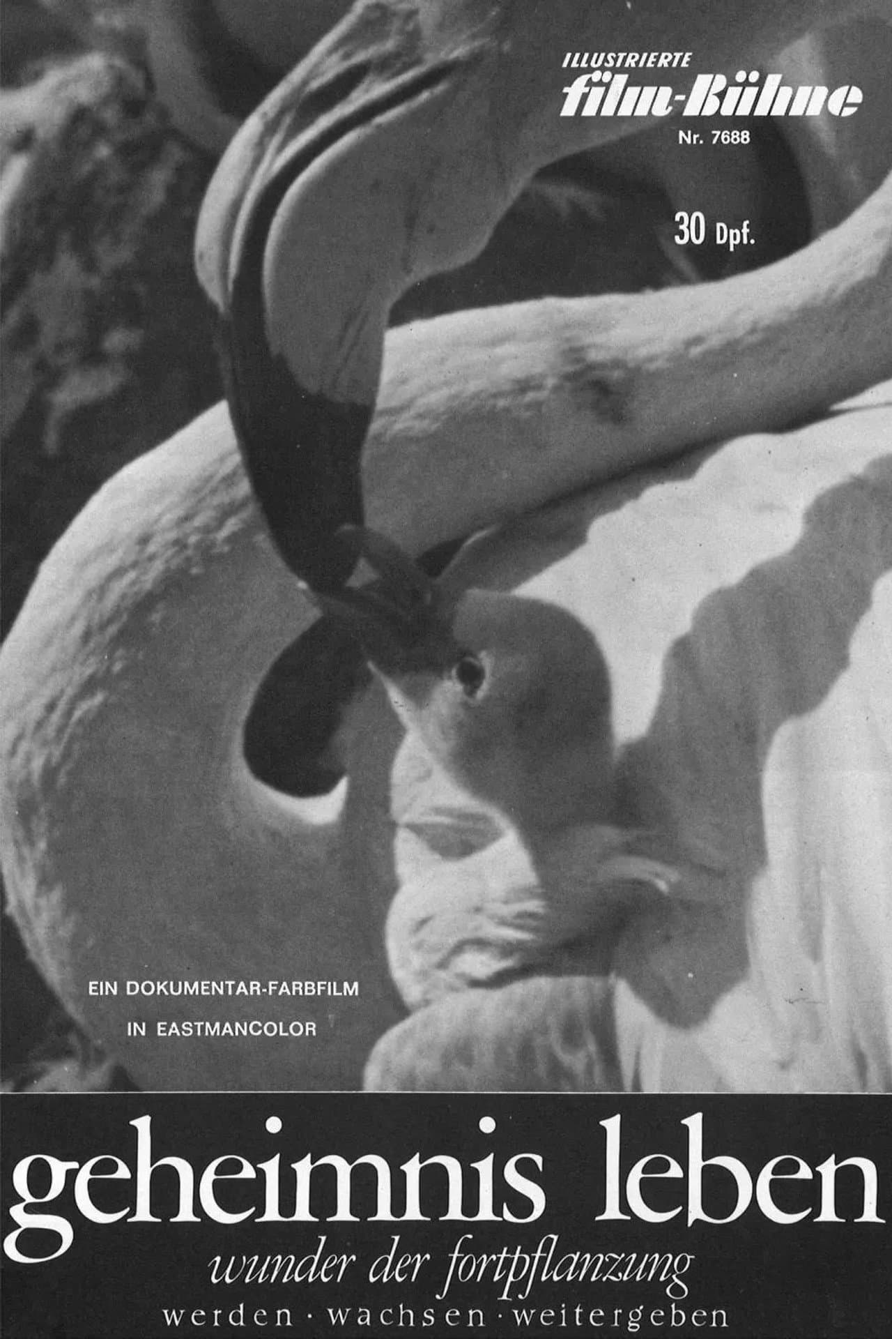 Geheimnis Leben - Wunder der Fortpflanzung preview 1