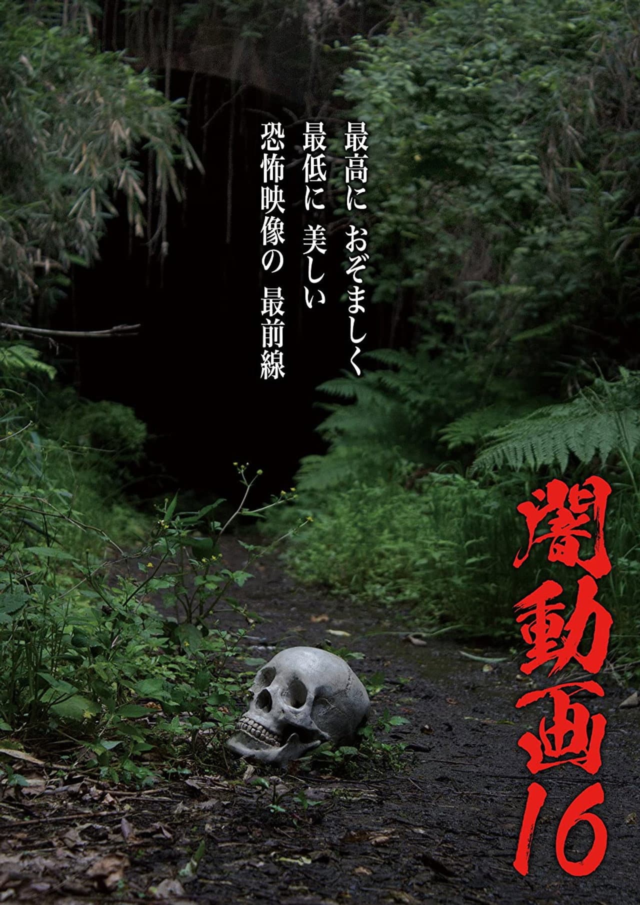 Tokyo Videos of Horror 16 preview 1