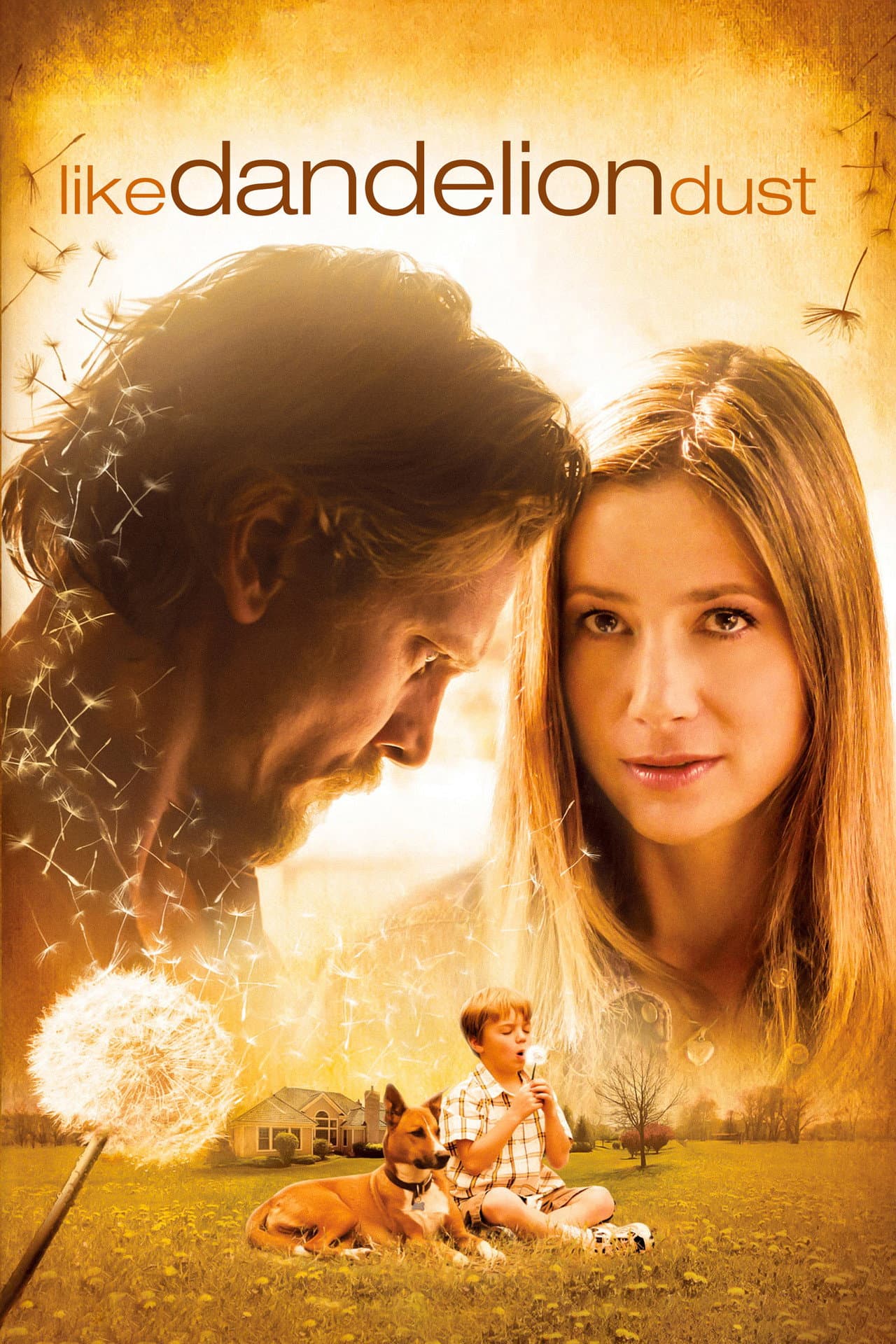 Like Dandelion Dust preview 2