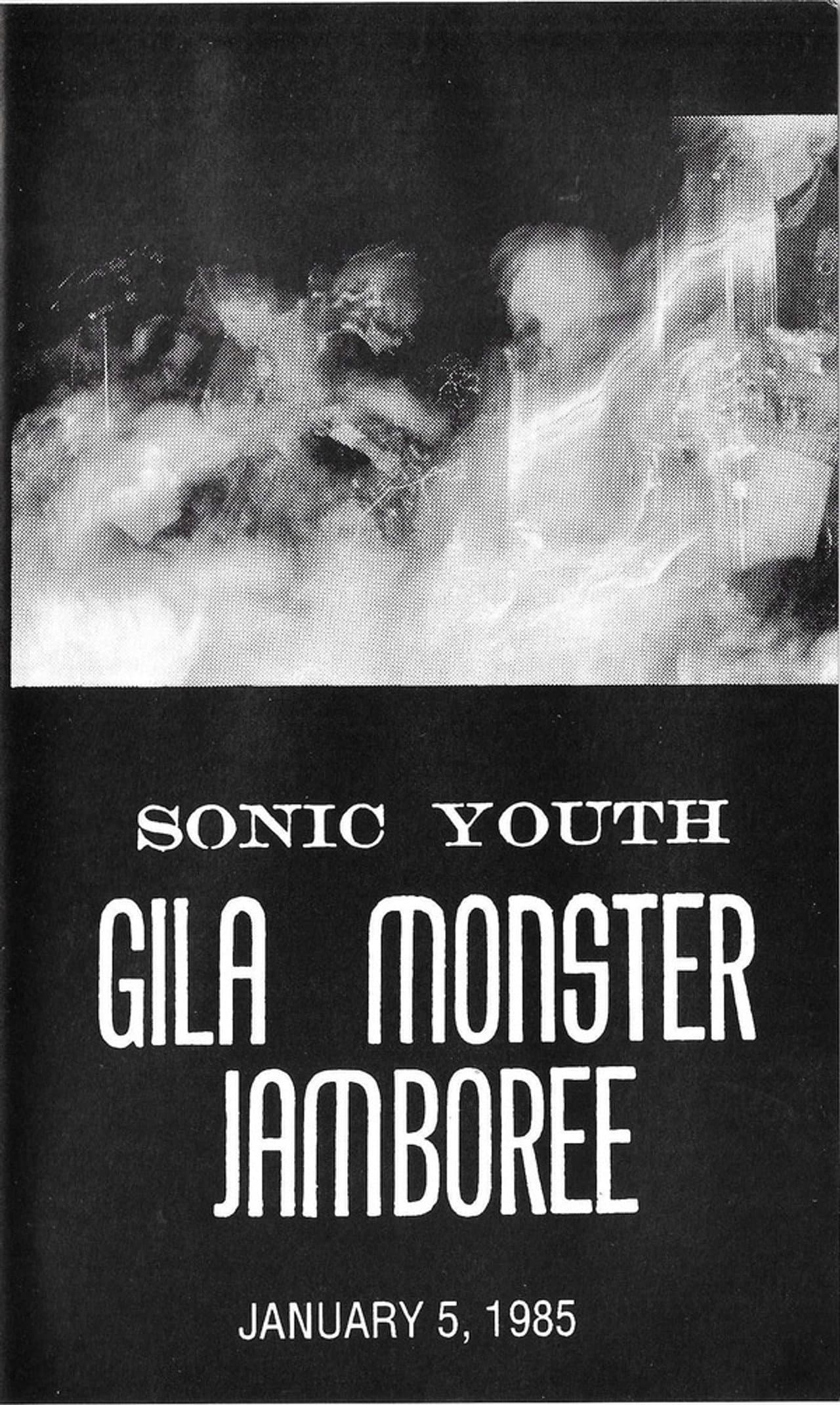 Sonic Youth - Gila Monster Jamboree - January 5, 1985 preview 1
