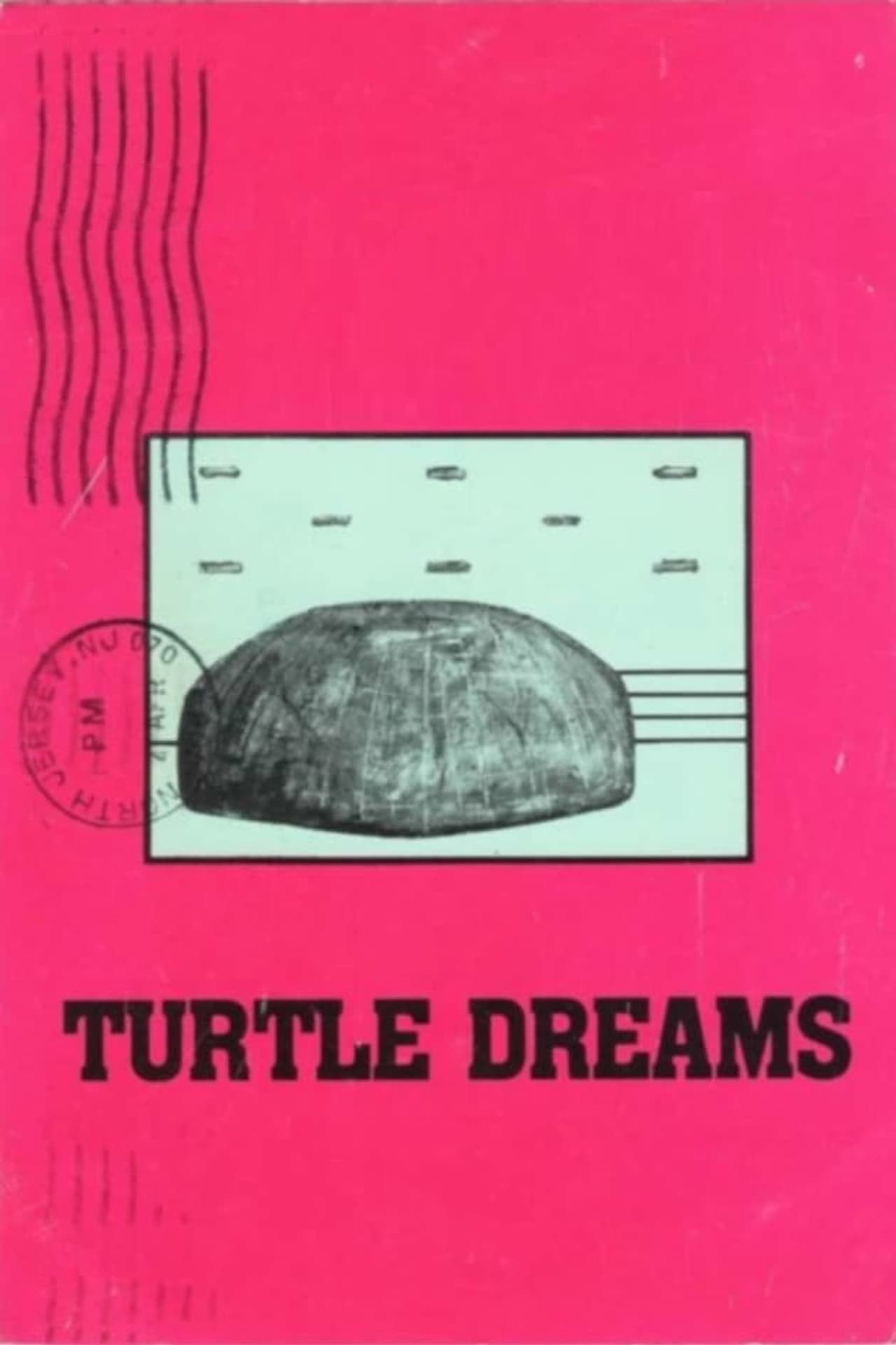 Turtle Dreams preview 1