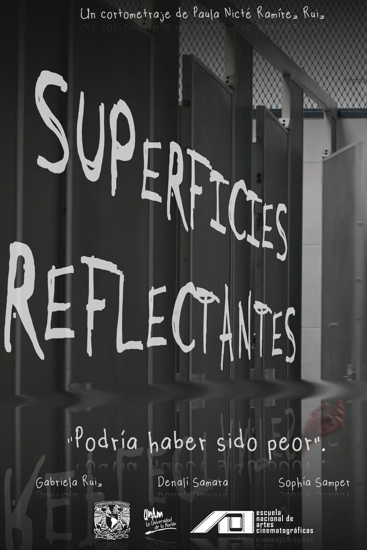 Reflective Surfaces preview 2