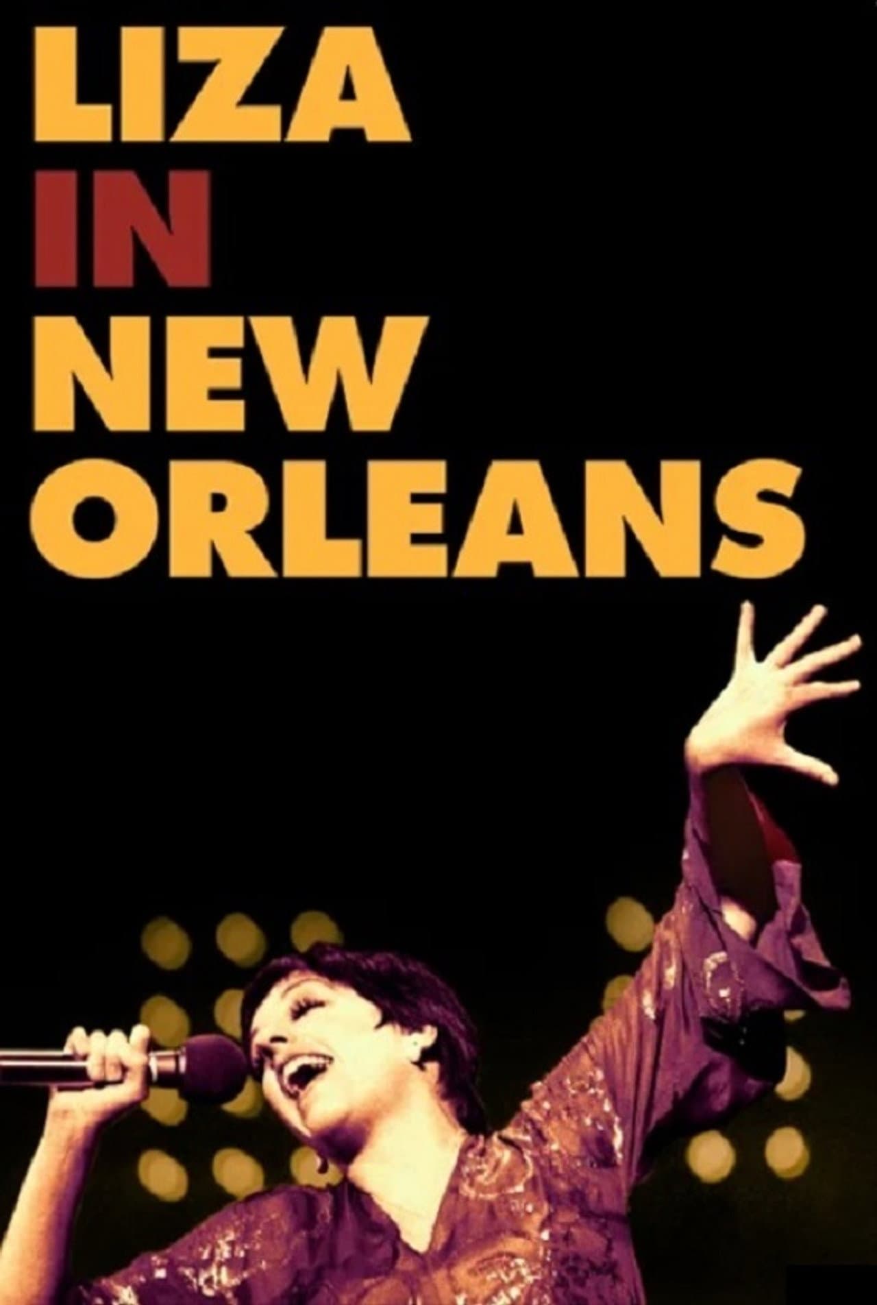An Evening with Liza Minnelli preview 1
