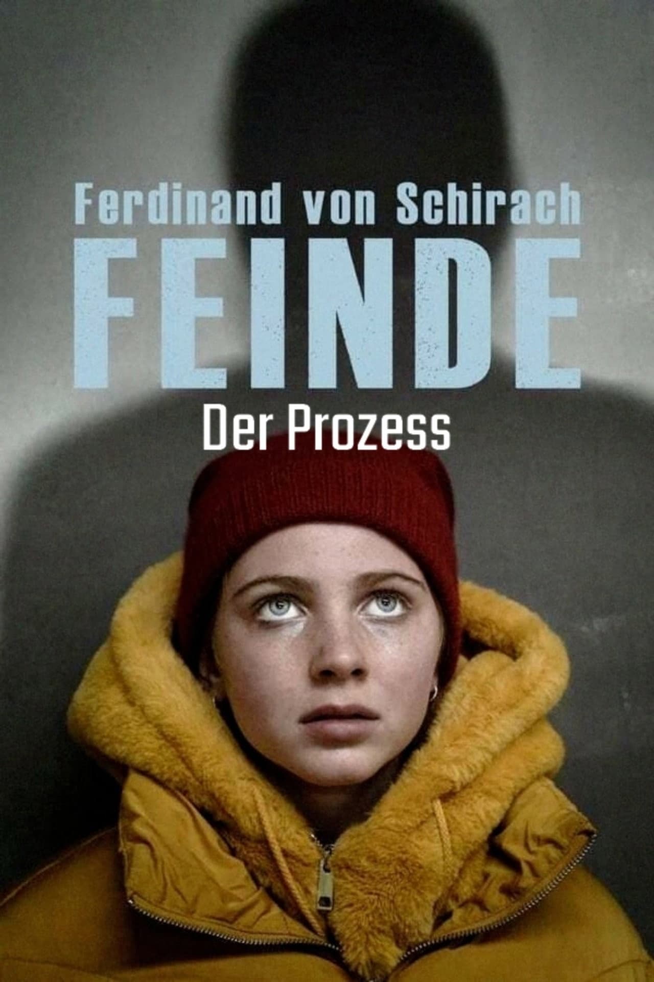Ferdinand von Schirach: Feinde – Der Prozess preview 2