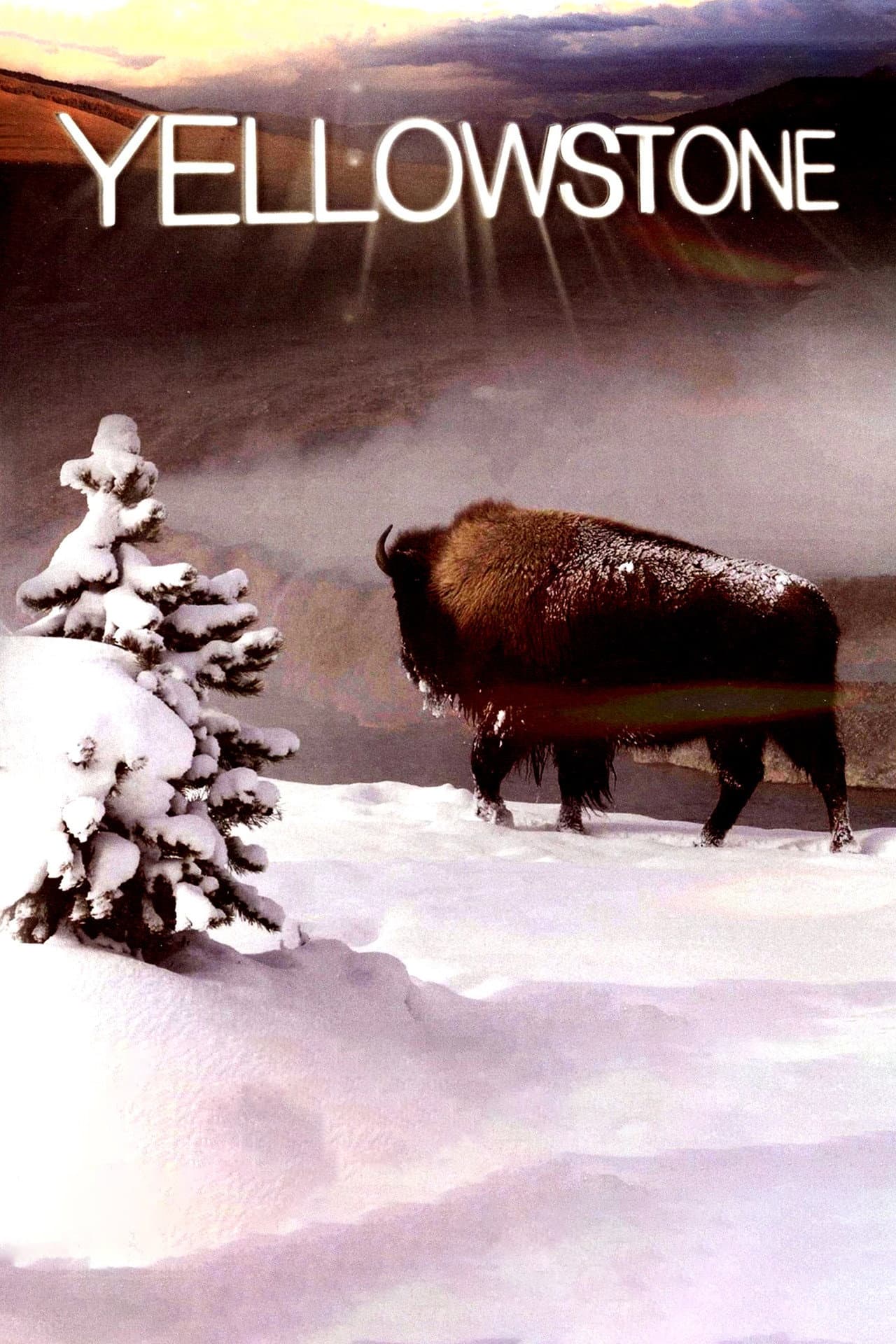 Yellowstone preview 2