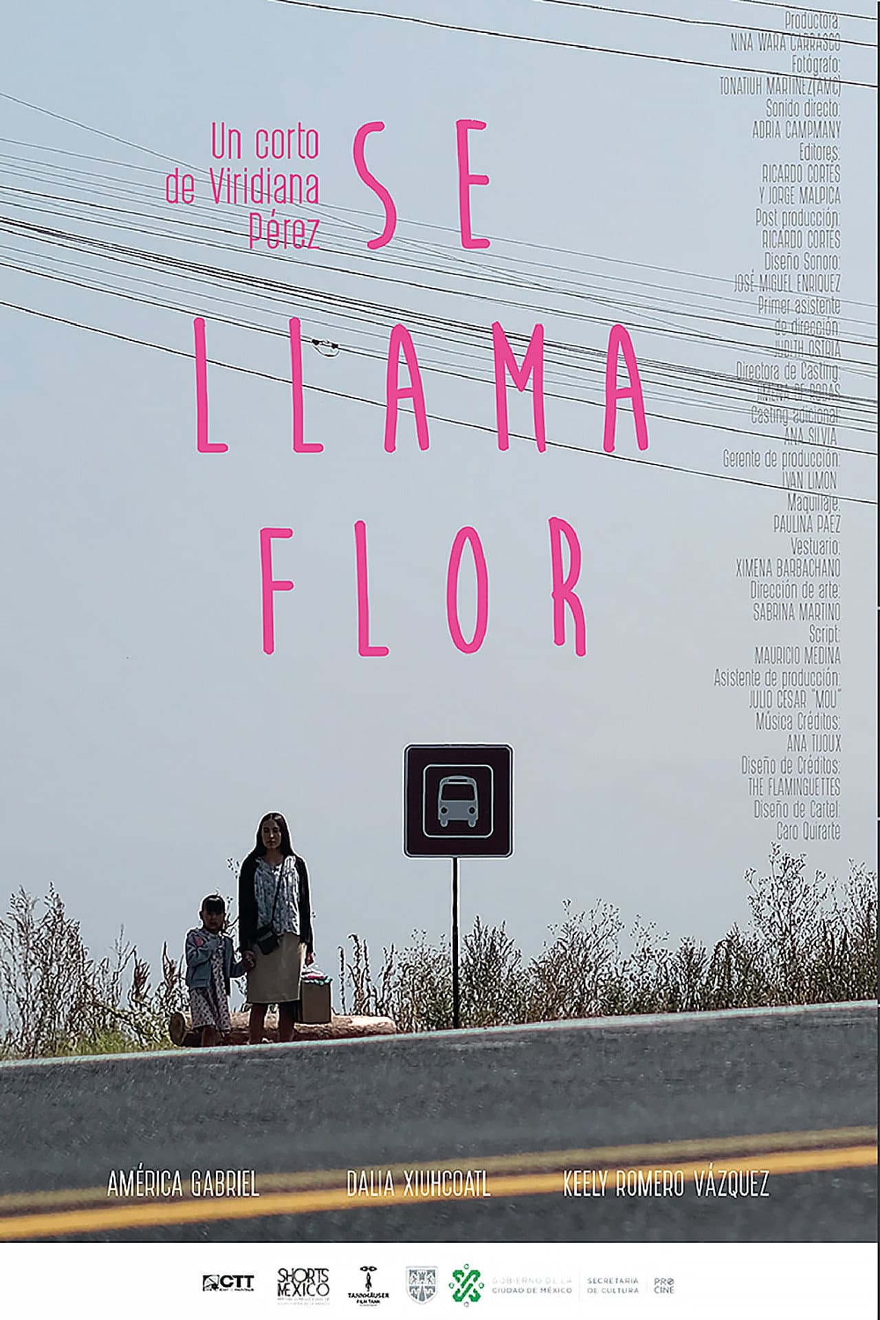 Her Name Is Flor preview 2